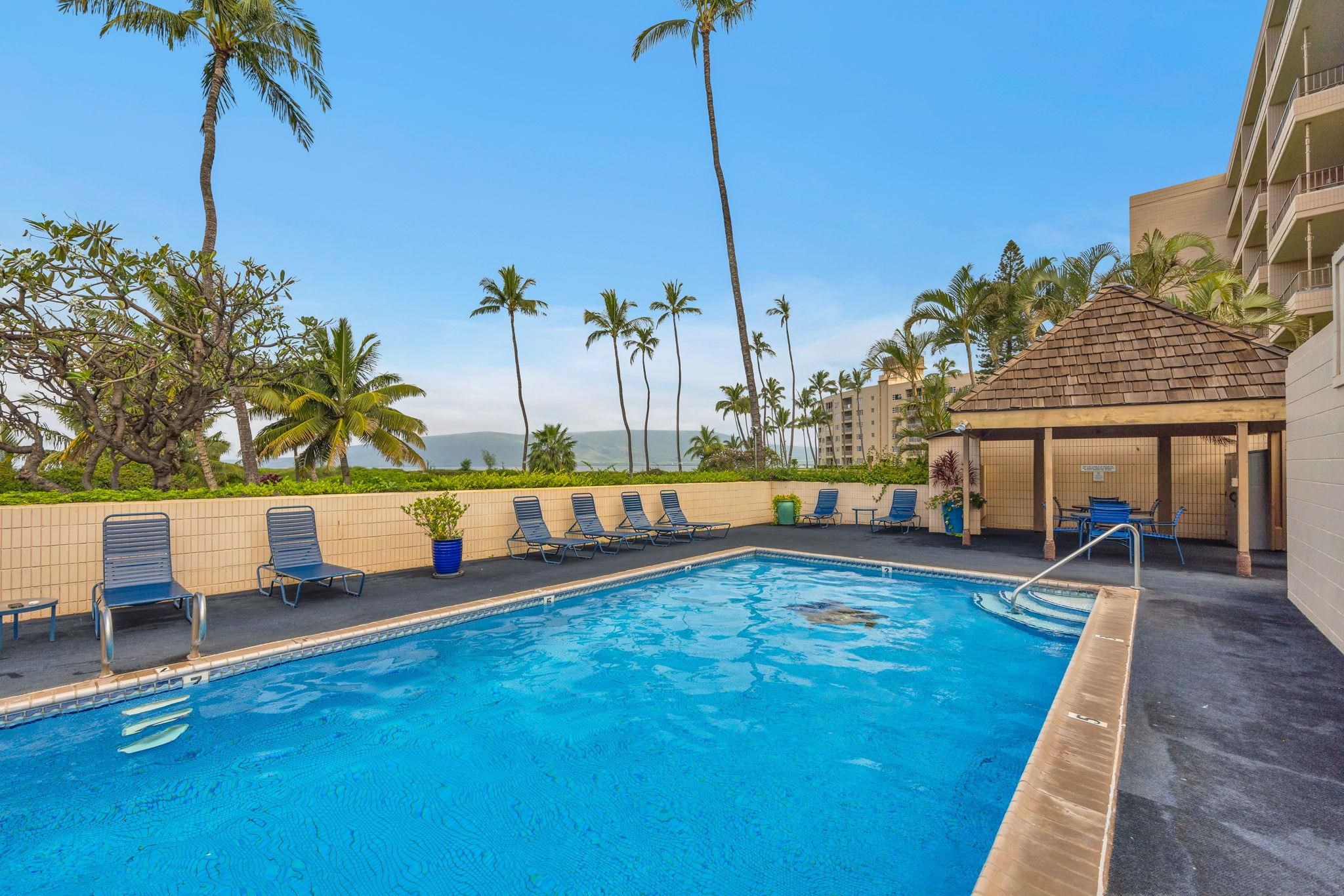 Koa Lagoon condo # 206, Kihei, Hawaii - photo 20 of 28