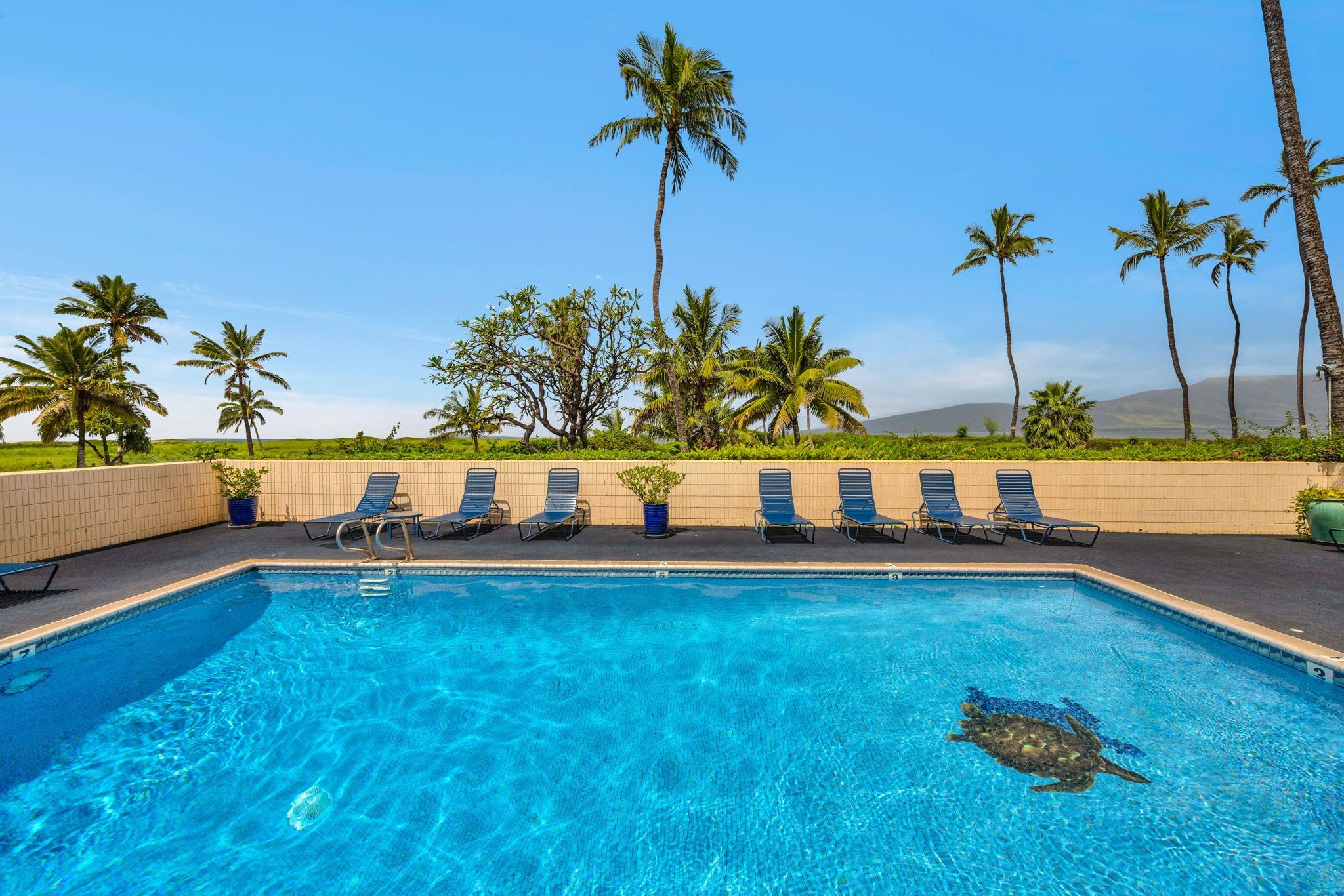 Koa Lagoon condo # 206, Kihei, Hawaii - photo 22 of 28