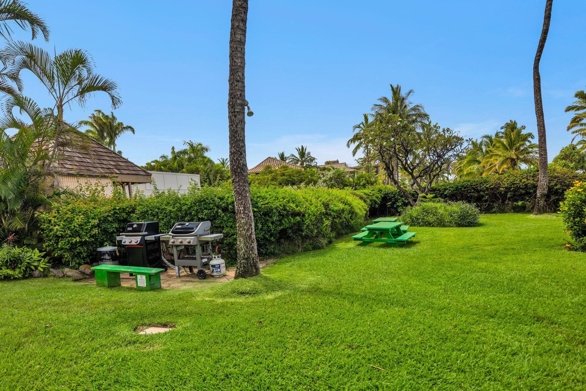 Koa Lagoon condo # 206, Kihei, Hawaii - photo 24 of 28