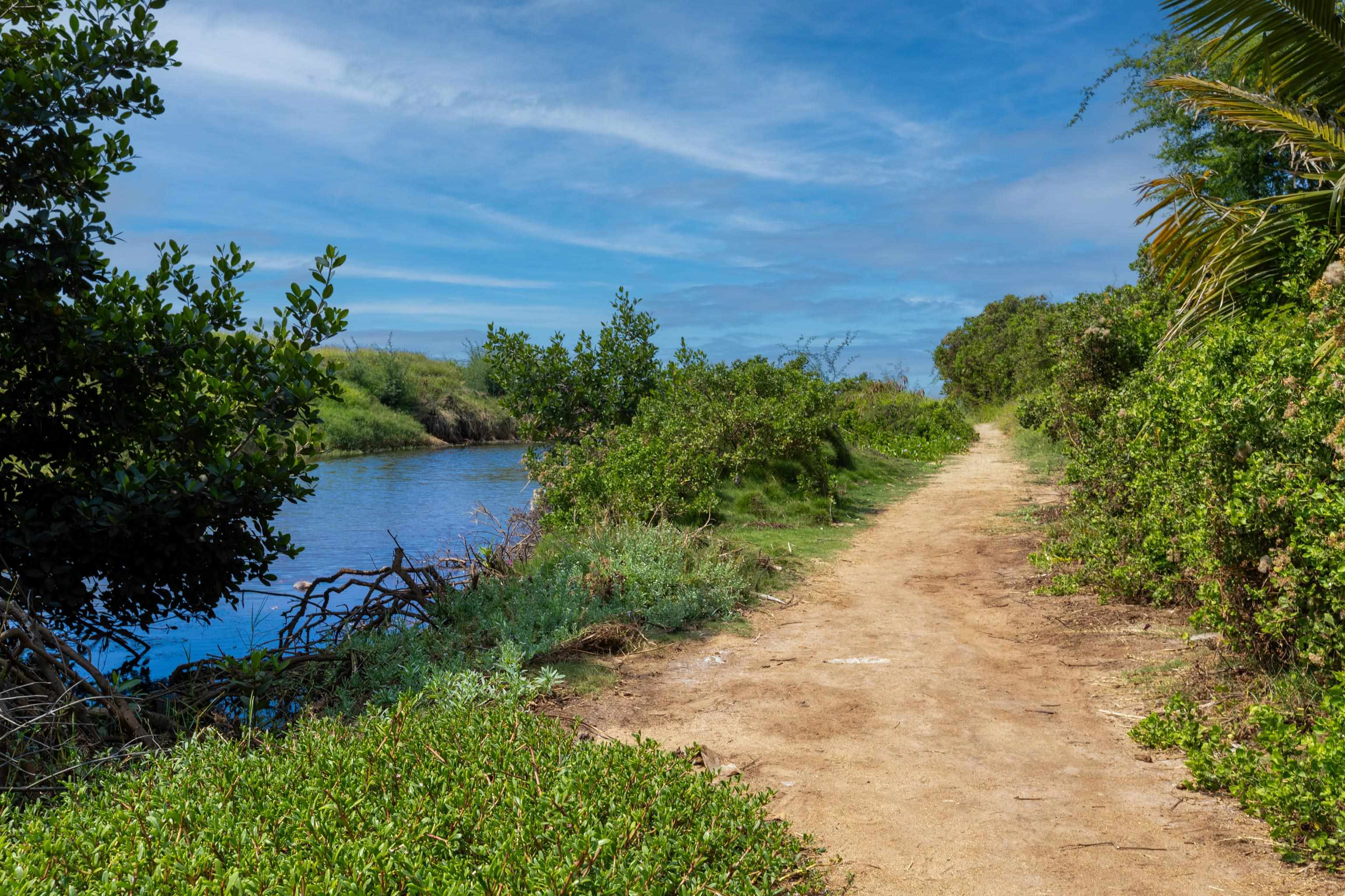 Koa Lagoon condo # 302, Kihei, Hawaii - photo 35 of 50