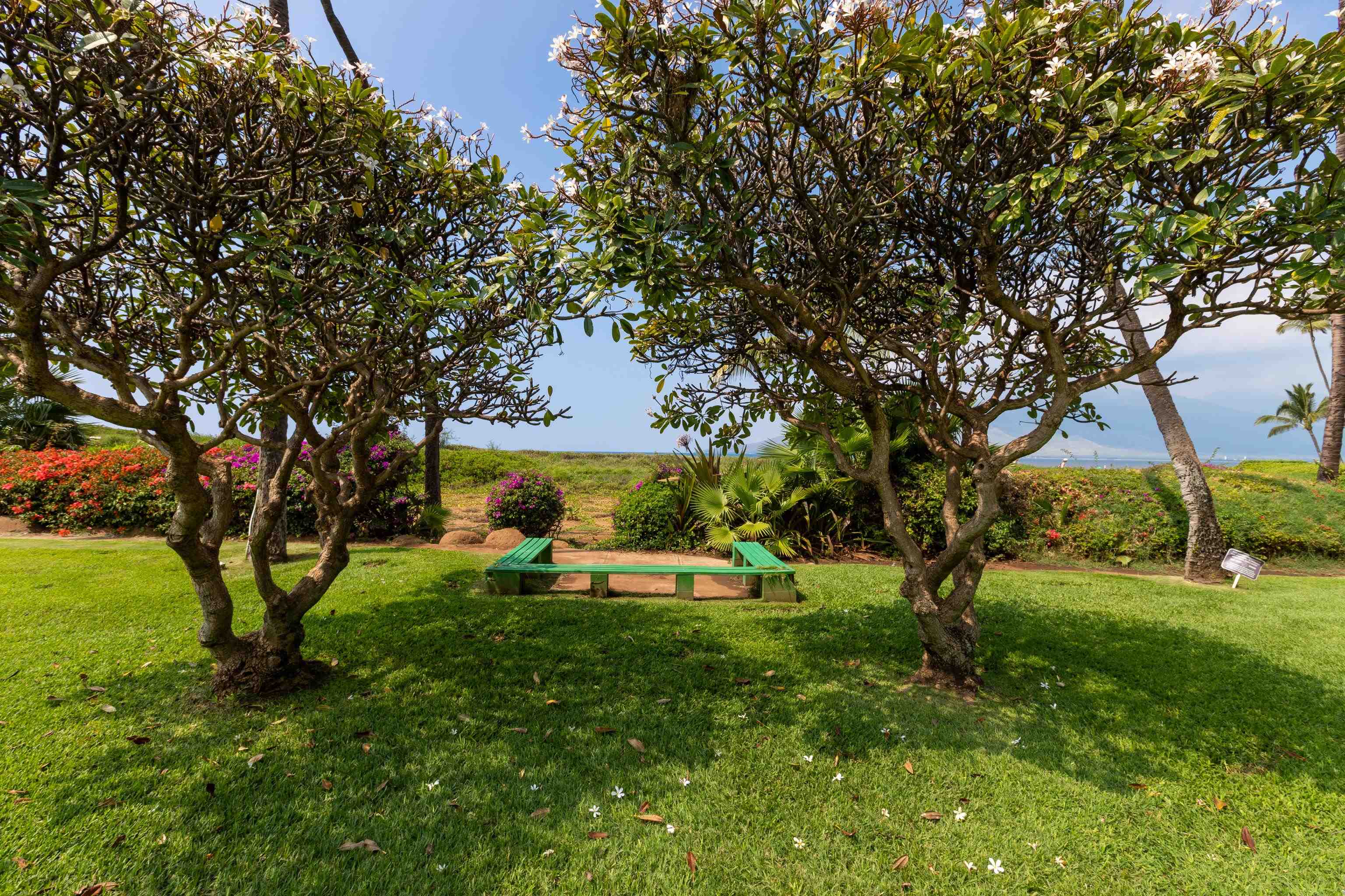 Koa Lagoon condo # 302, Kihei, Hawaii - photo 37 of 50