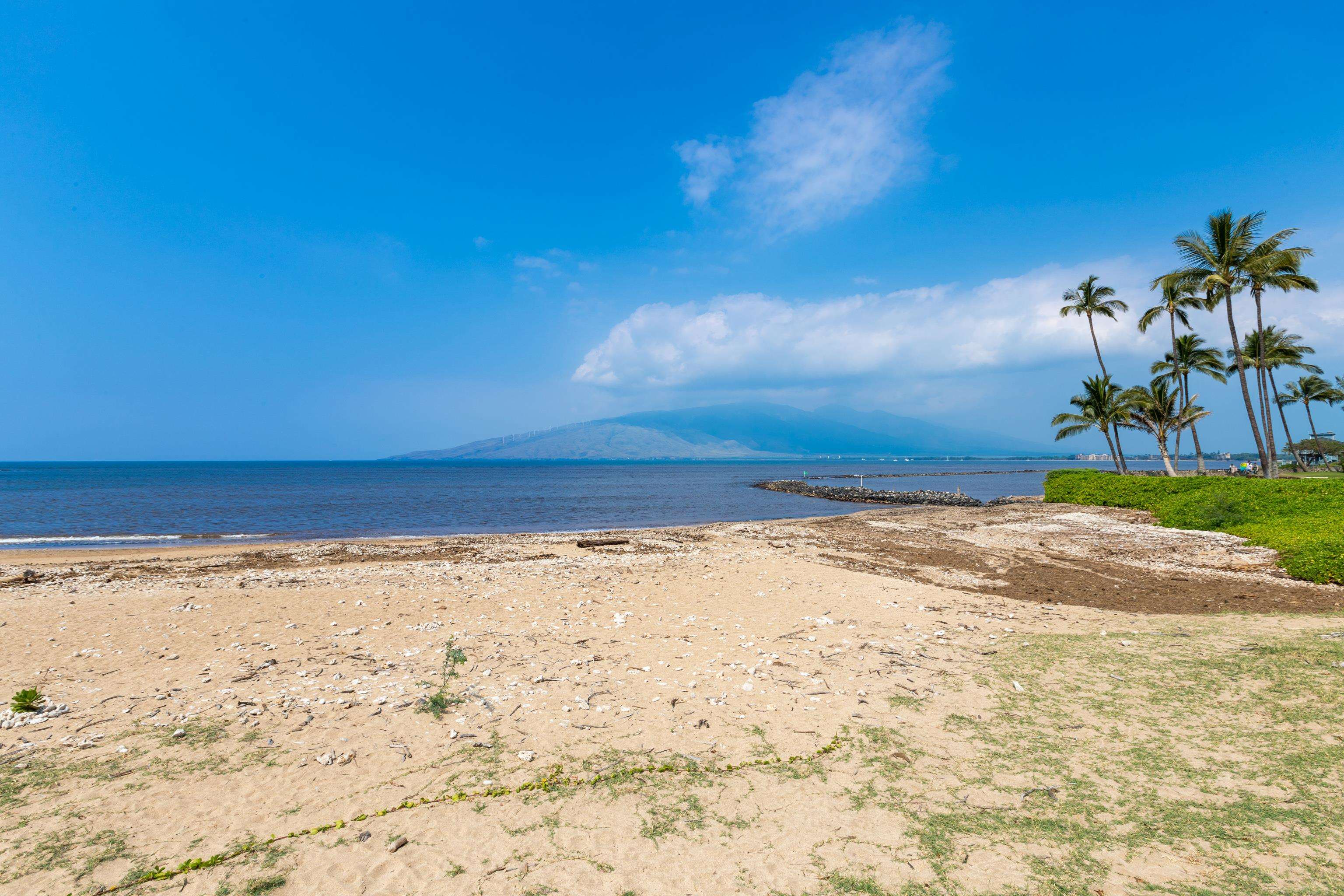 Koa Lagoon condo # 302, Kihei, Hawaii - photo 38 of 50