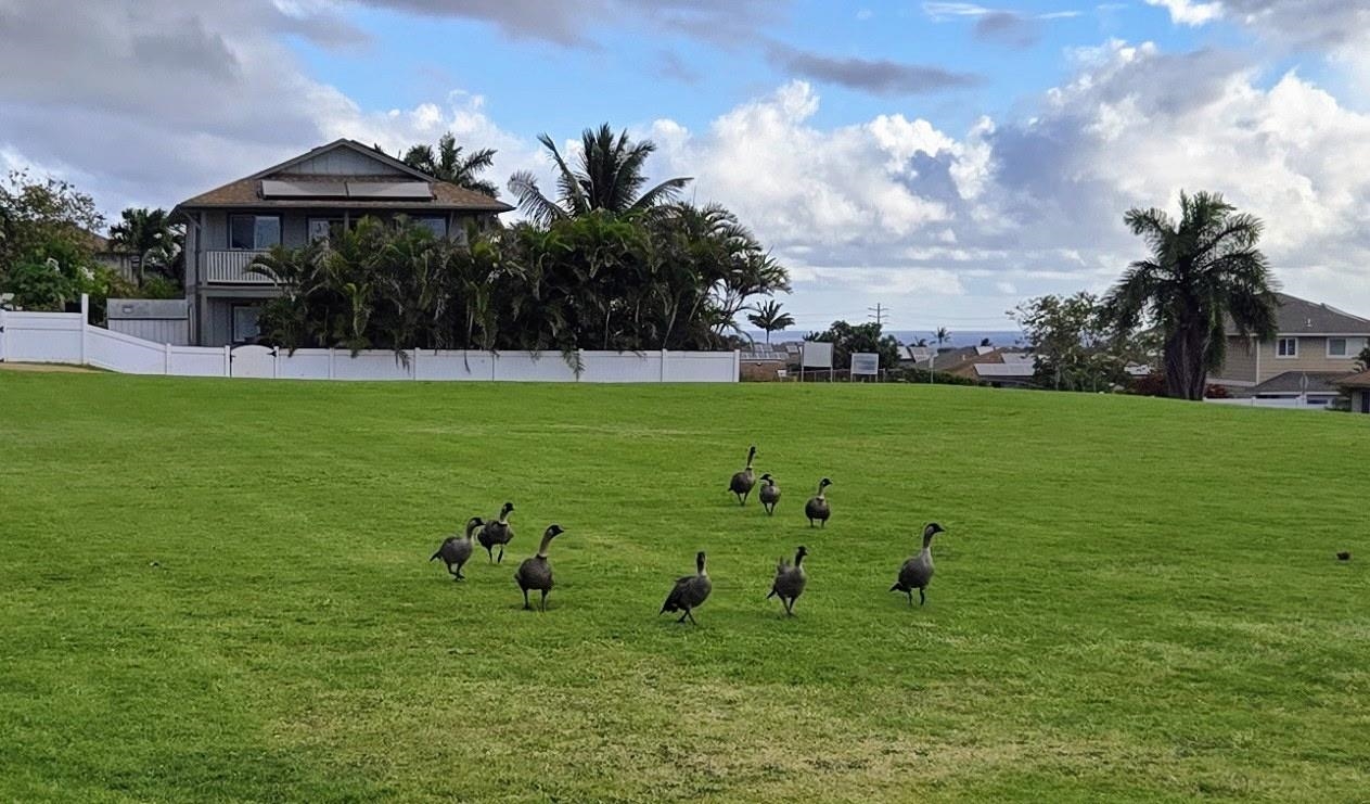 801  Haawi St Waikapu, Wailuku home - photo 44 of 50