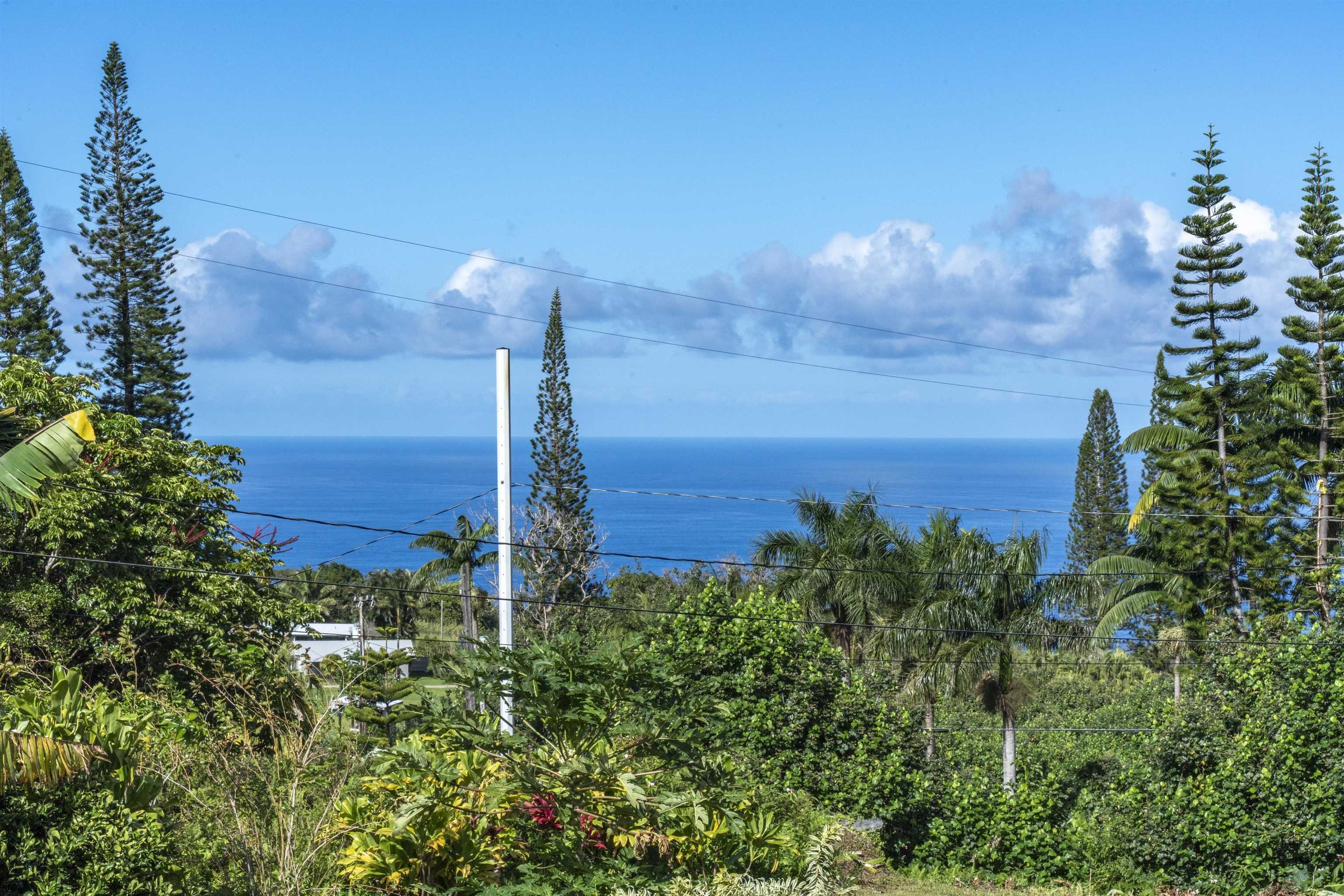 8040  Hana Hwy Kailua, Haiku home - photo 46 of 50