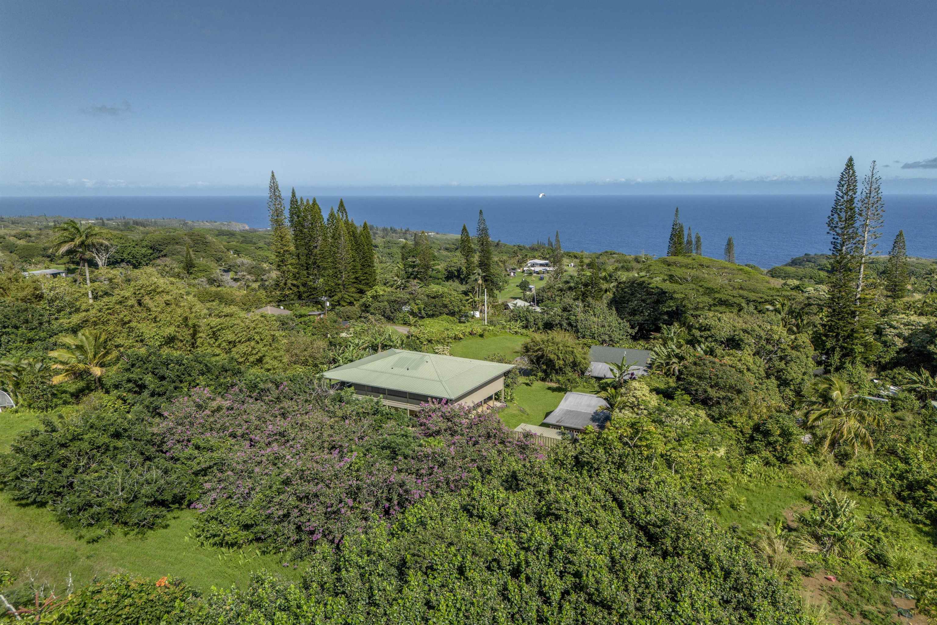 8040  Hana Hwy Kailua, Haiku home - photo 39 of 46