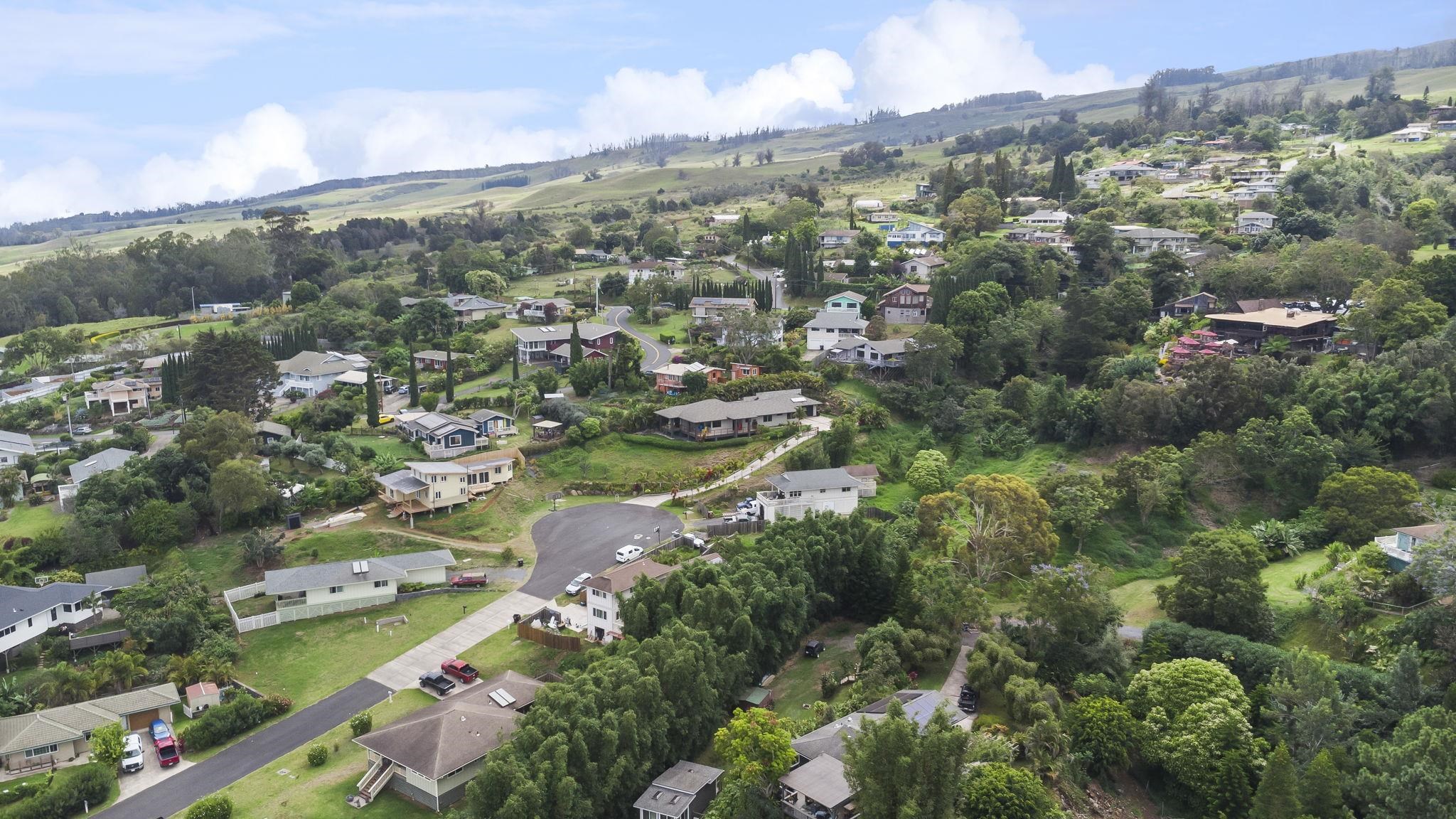 806  Kukia Pl Kula, Kula/Ulupalakua/Kanaio home - photo 49 of 50