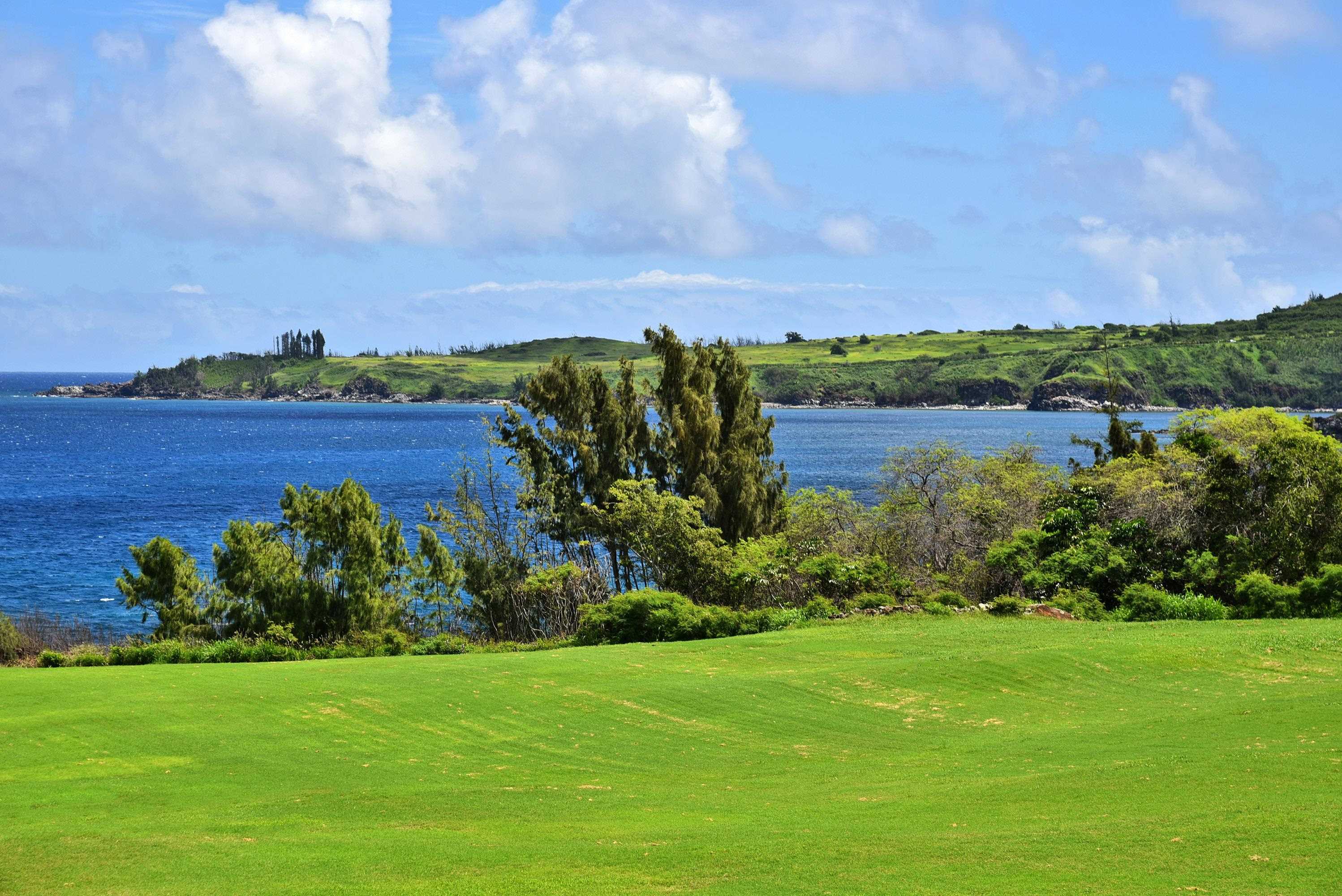 Kapalua Ironwoods condo # 81, Lahaina, Hawaii - photo 2 of 50