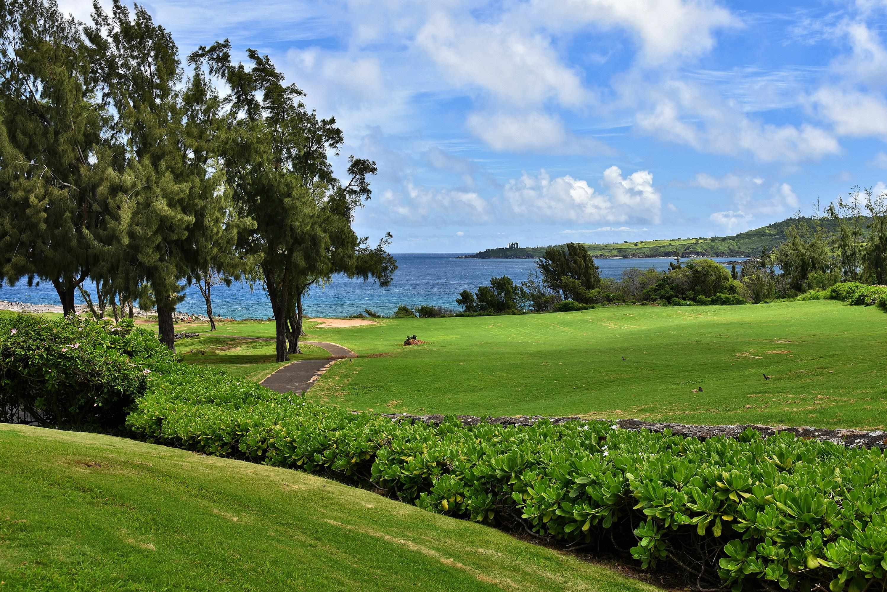 Kapalua Ironwoods condo # 81, Lahaina, Hawaii - photo 3 of 50