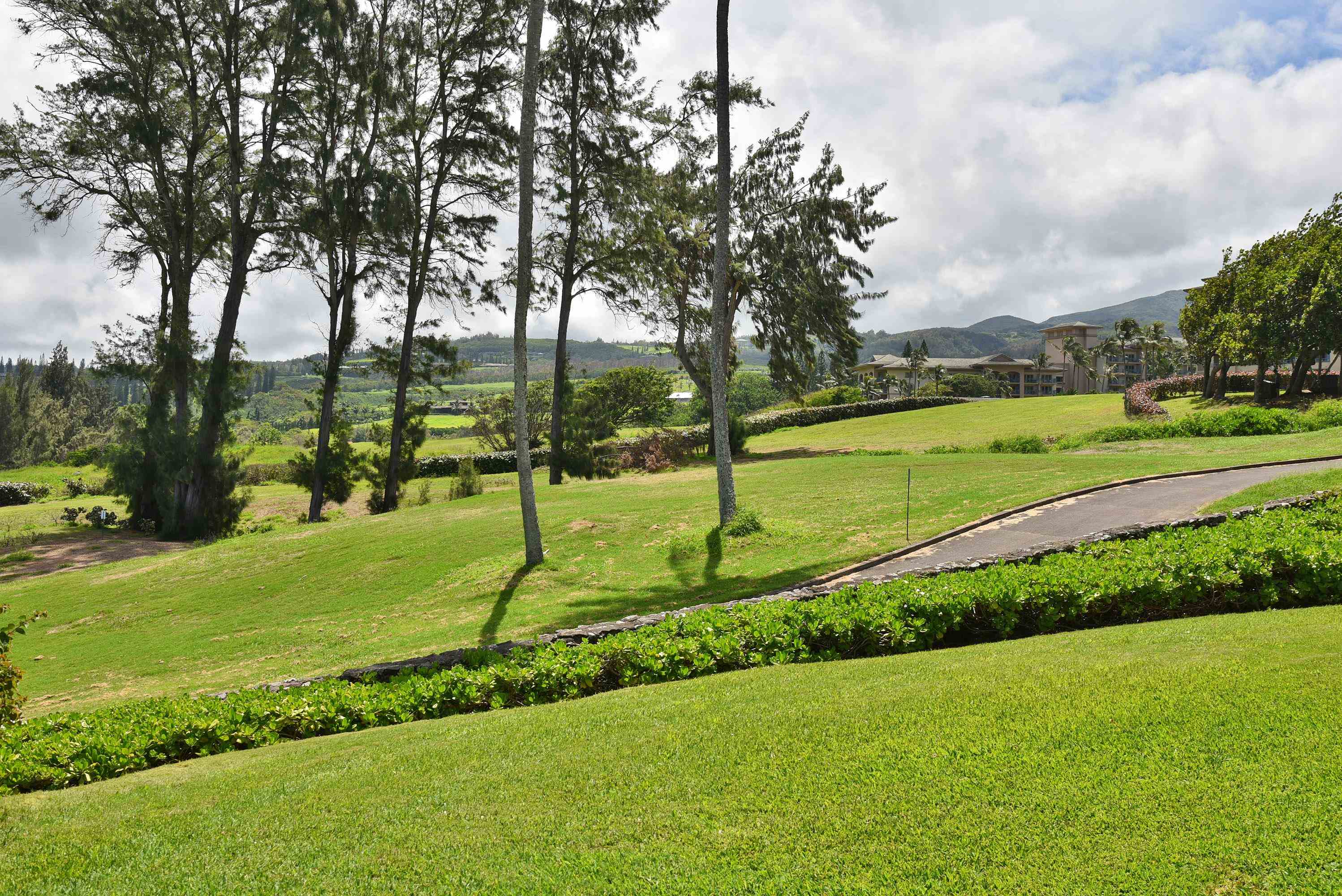 Kapalua Ironwoods condo # 81, Lahaina, Hawaii - photo 40 of 50
