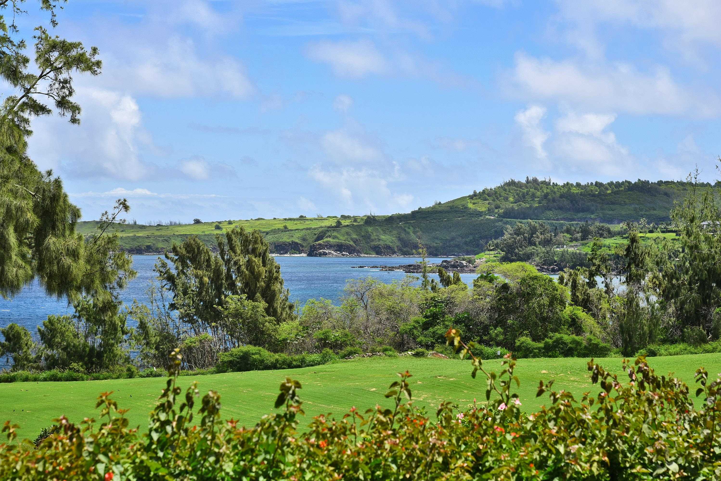 Kapalua Ironwoods condo # 81, Lahaina, Hawaii - photo 41 of 50