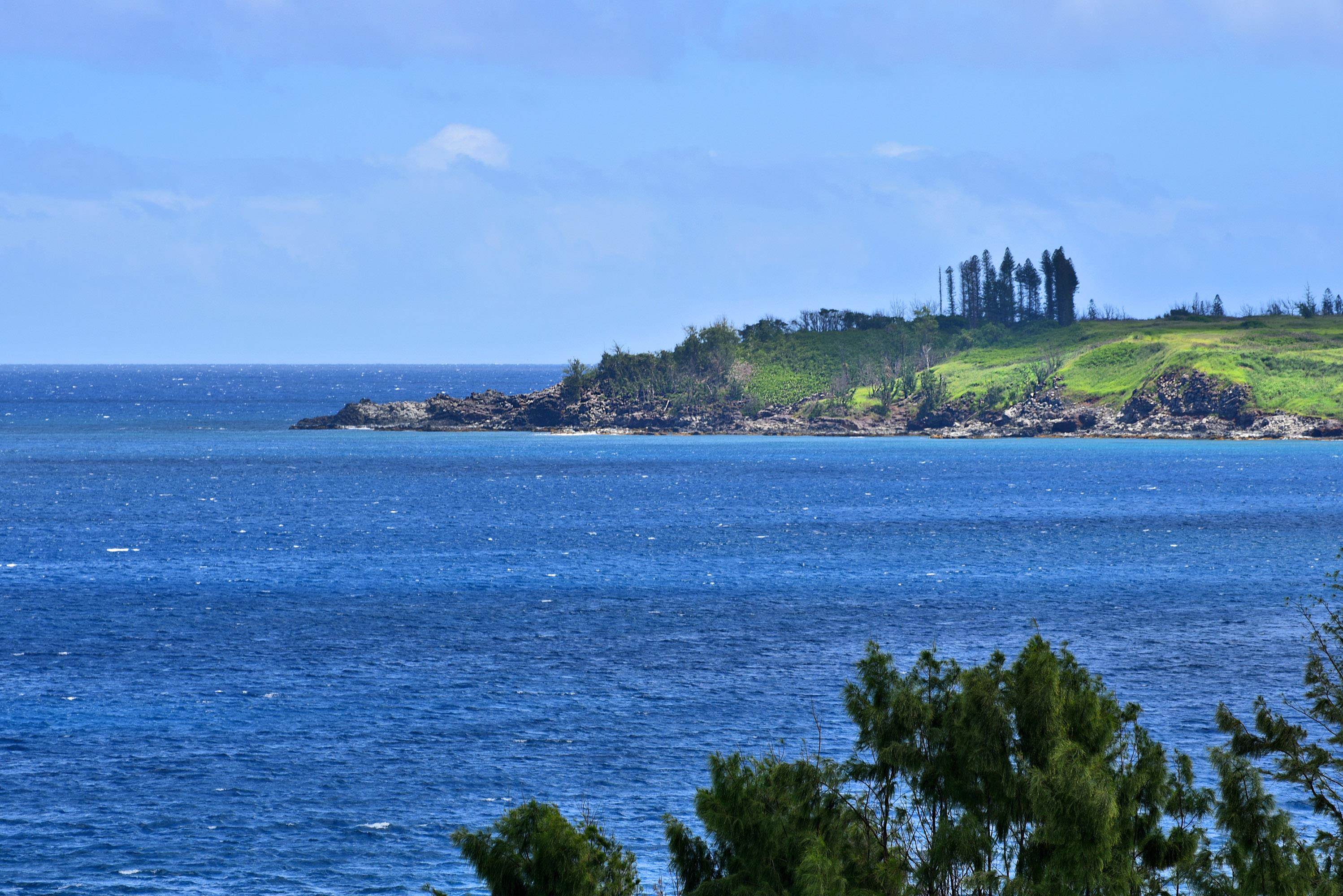 Kapalua Ironwoods condo # 81, Lahaina, Hawaii - photo 42 of 50