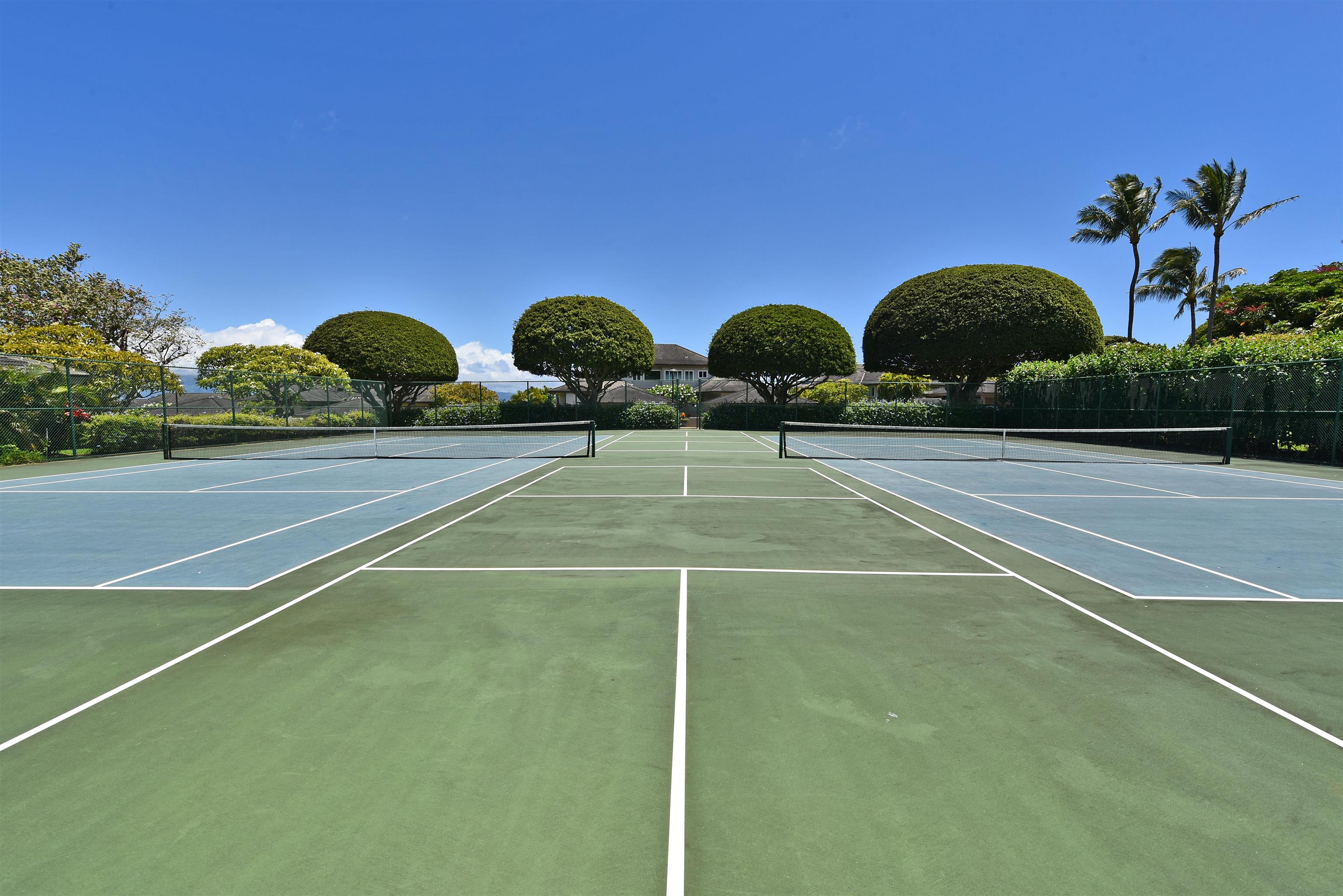 Kapalua Ironwoods condo # 81, Lahaina, Hawaii - photo 47 of 50