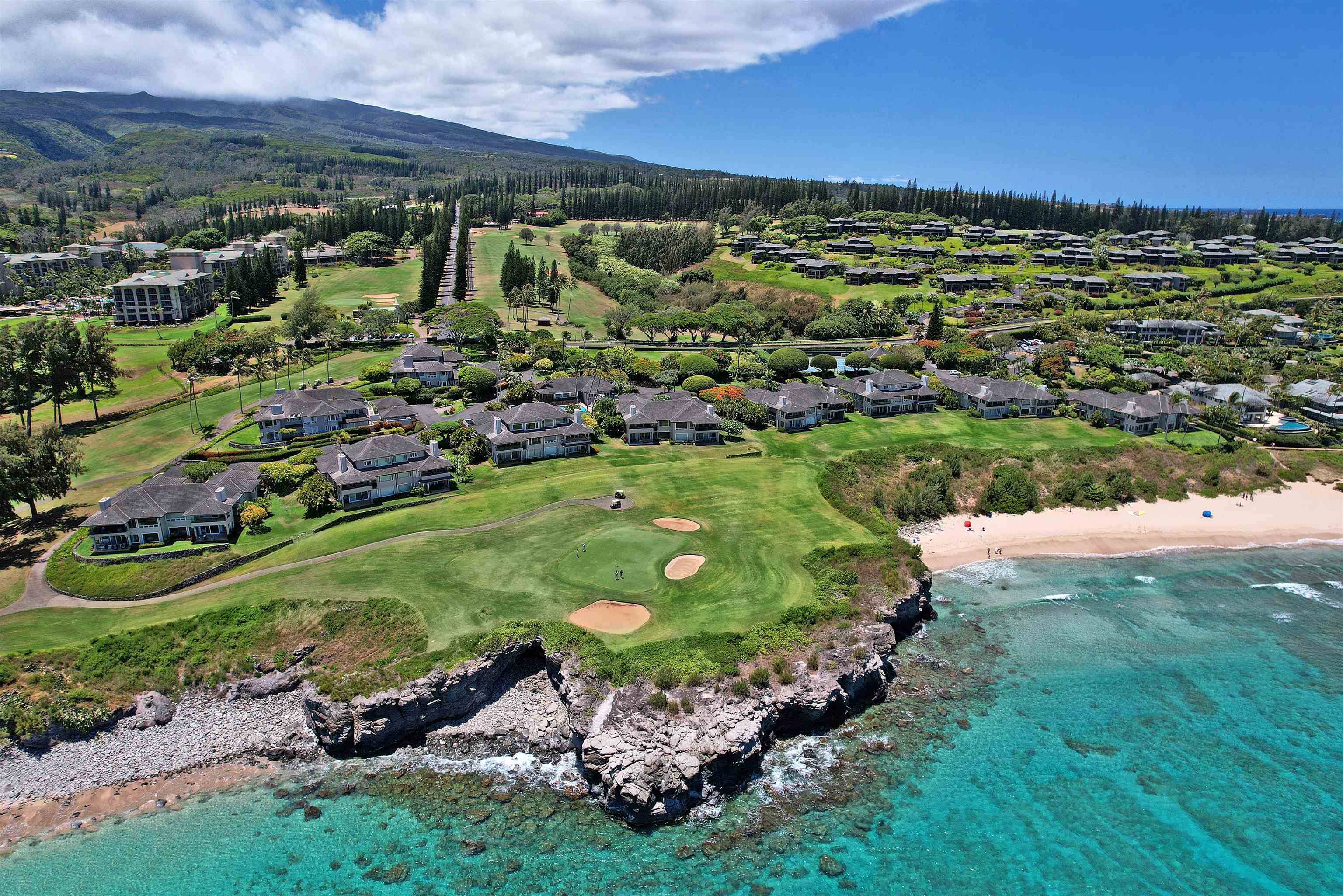 Kapalua Ironwoods condo # 81, Lahaina, Hawaii - photo 49 of 50