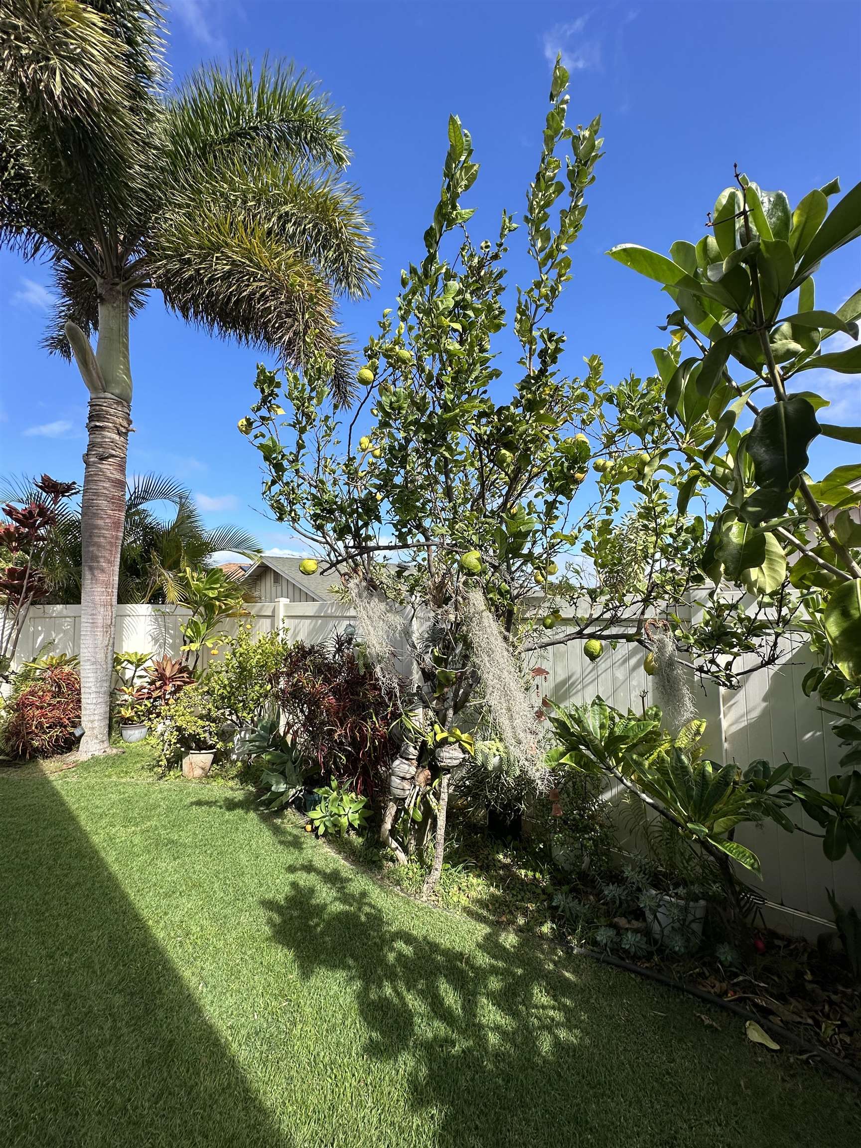 81  Kamahao St Waikapu Gardens, Wailuku home - photo 40 of 43