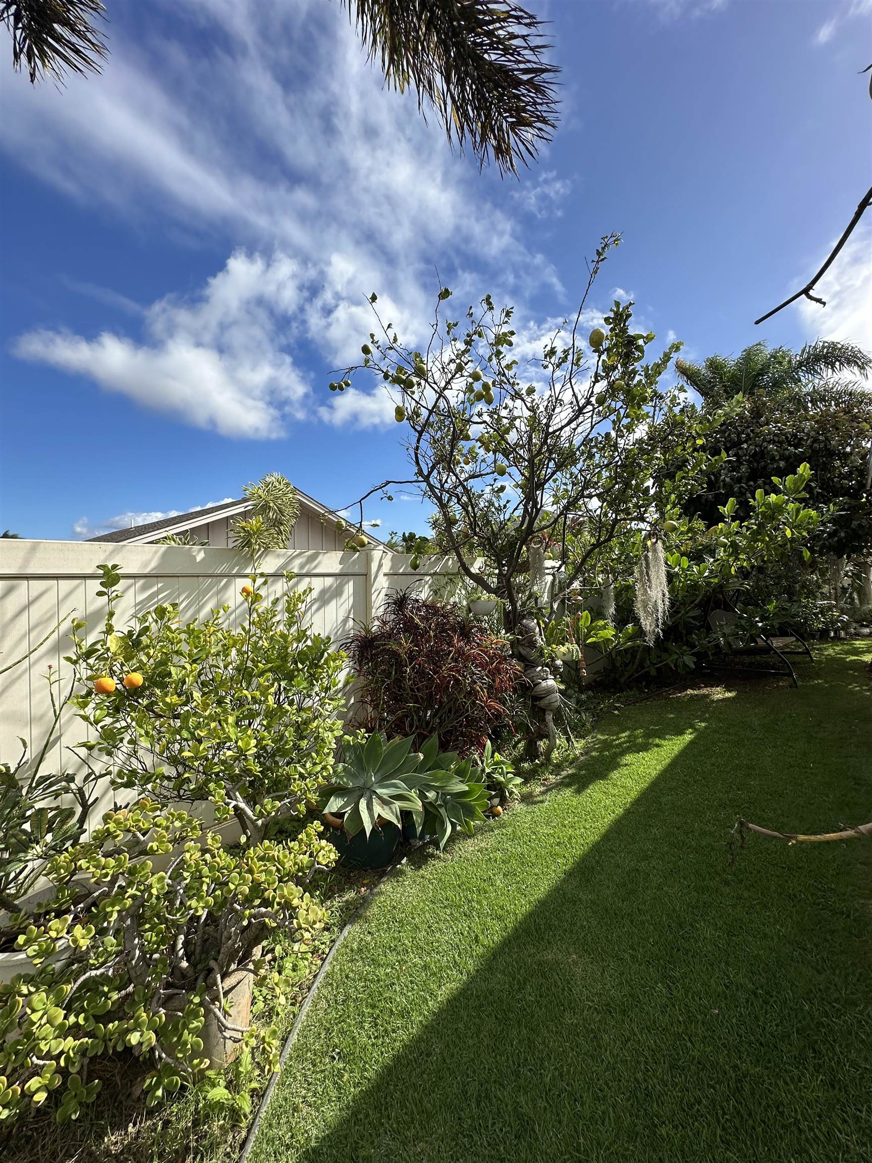 81  Kamahao St Waikapu Gardens, Wailuku home - photo 42 of 43