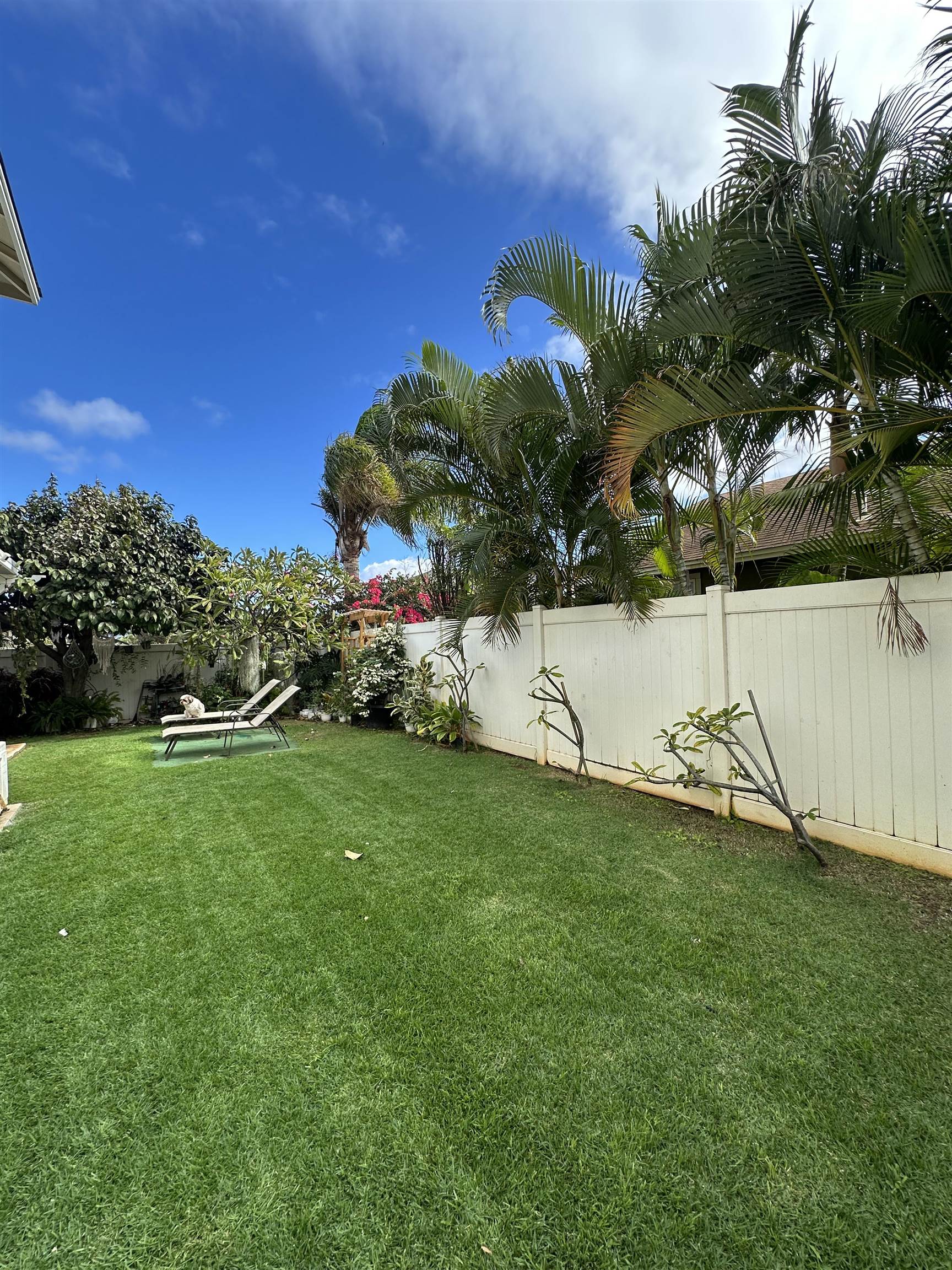 81  Kamahao St Waikapu Gardens, Wailuku home - photo 43 of 43