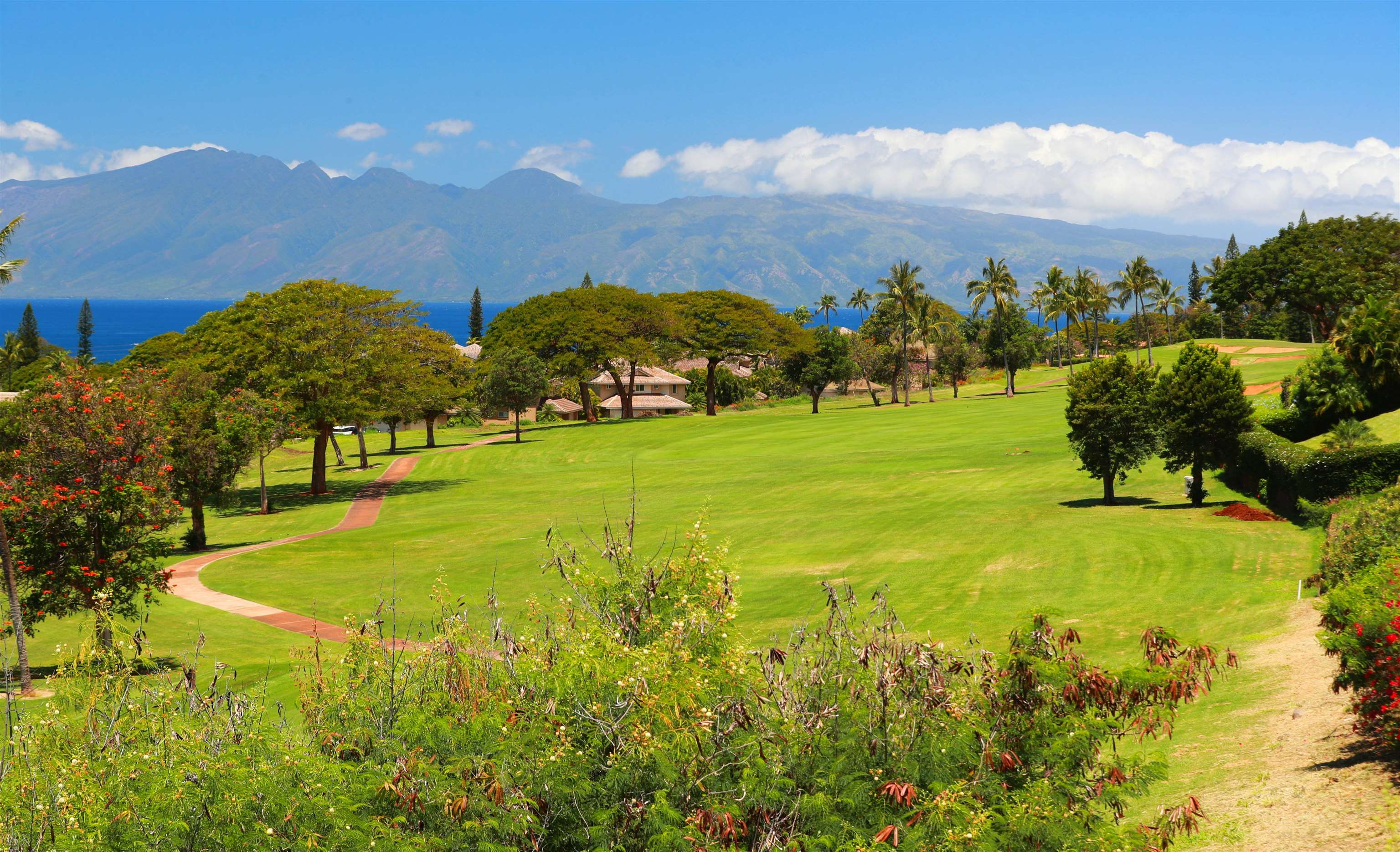 81  Piki Pl Kaanapali, Kaanapali home - photo 48 of 50