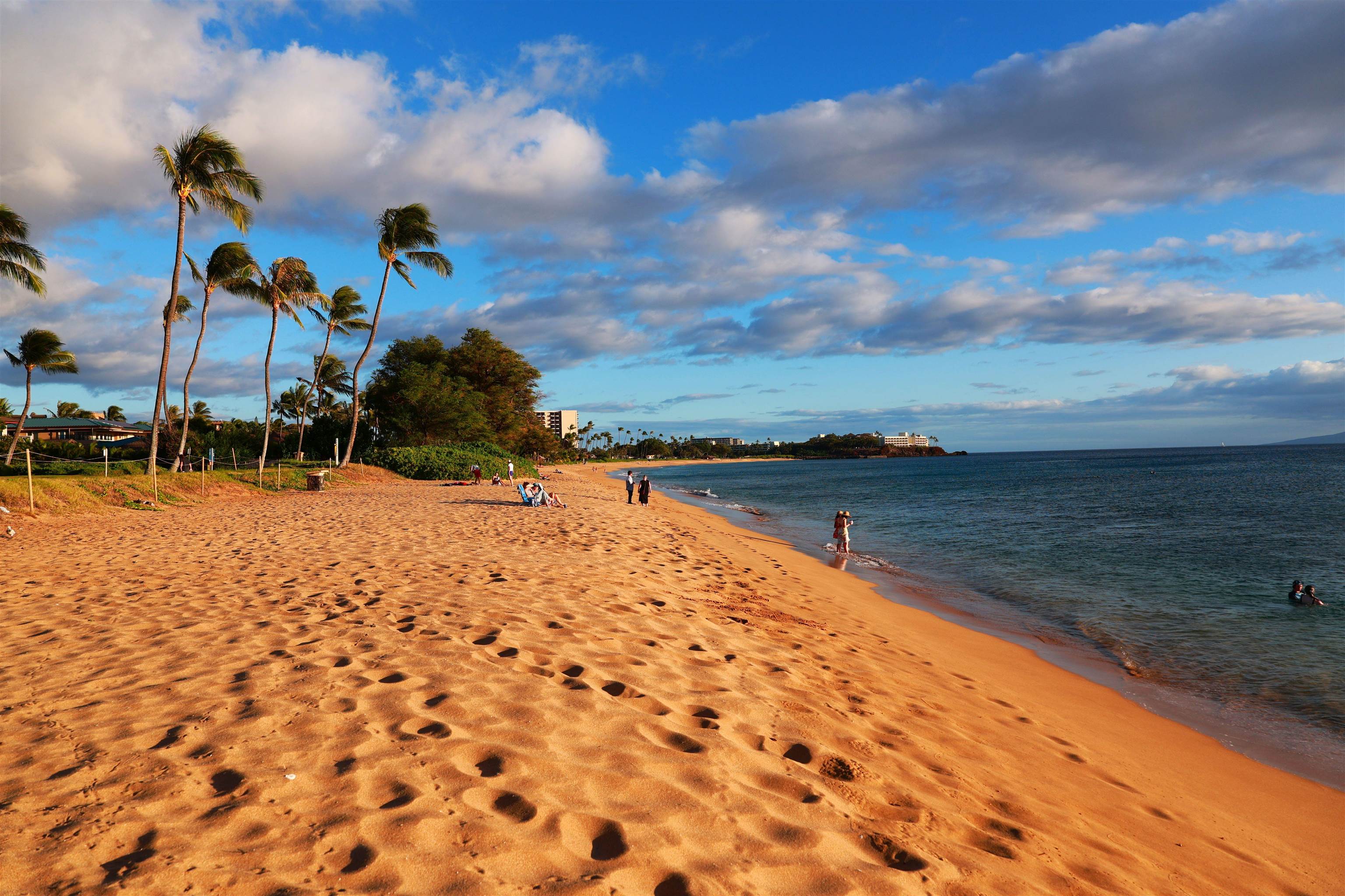 81  Piki Pl Kaanapali, Kaanapali home - photo 49 of 50