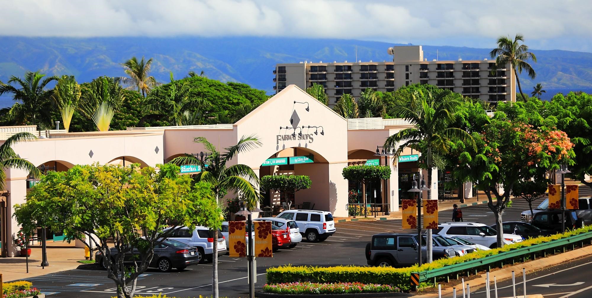 81  Piki Pl Kaanapali, Kaanapali home - photo 50 of 50