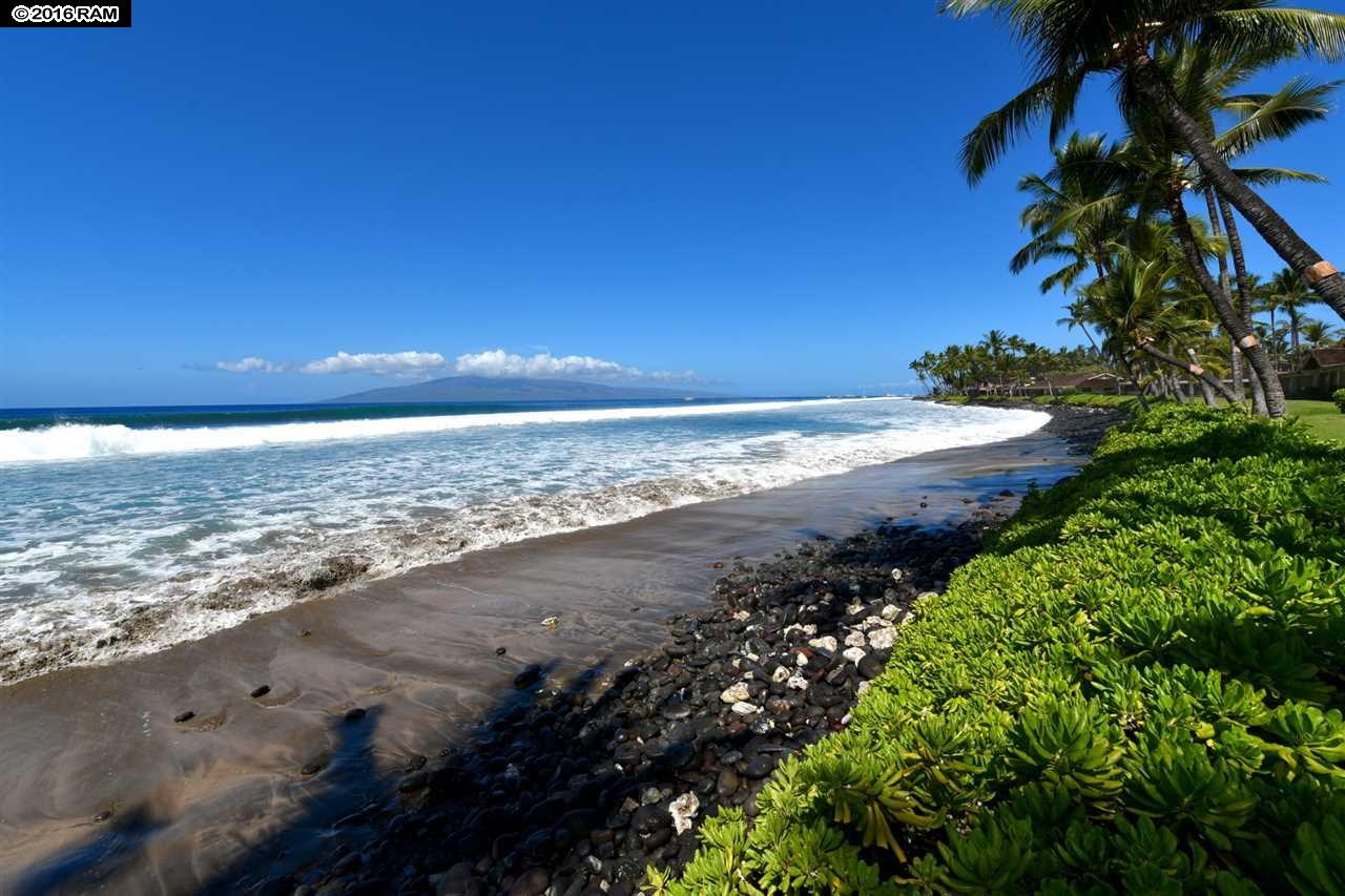Puamana condo # 8-1, Lahaina, Hawaii - photo 22 of 30