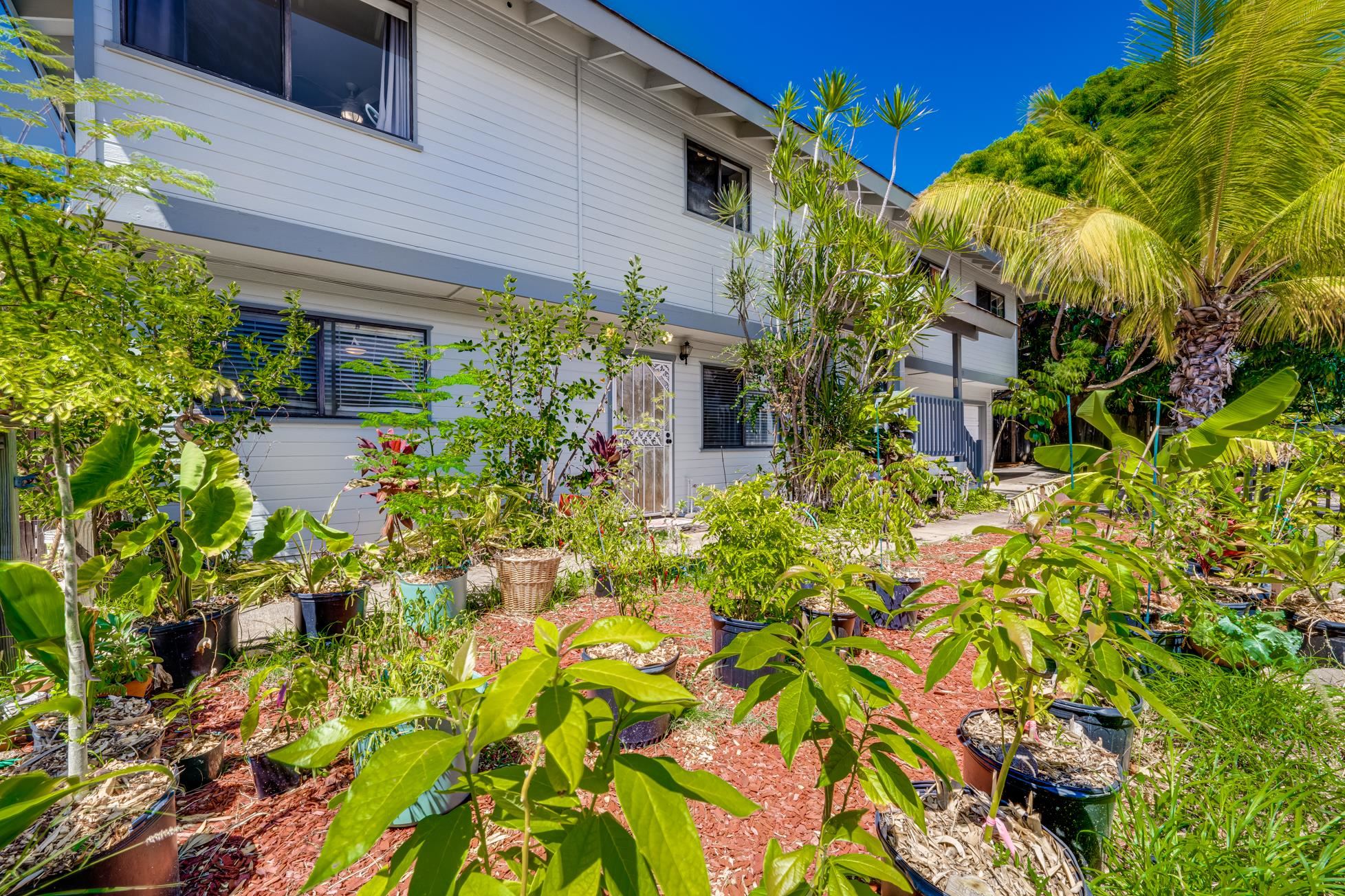 81  Waipahe St , Kihei home - photo 6 of 50