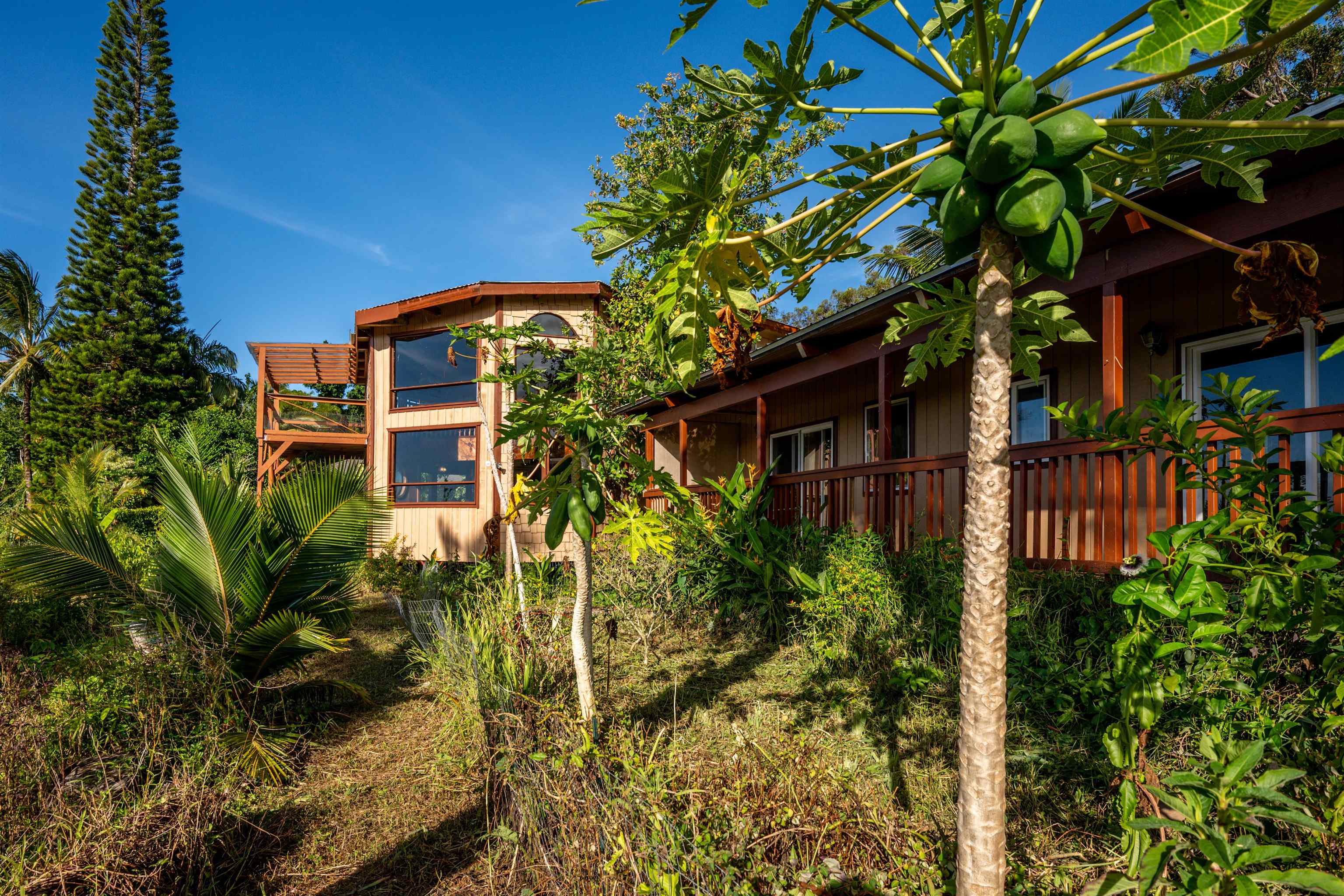 810  Upper Ulumalu Rd Ulumalu, Haiku home - photo 9 of 46