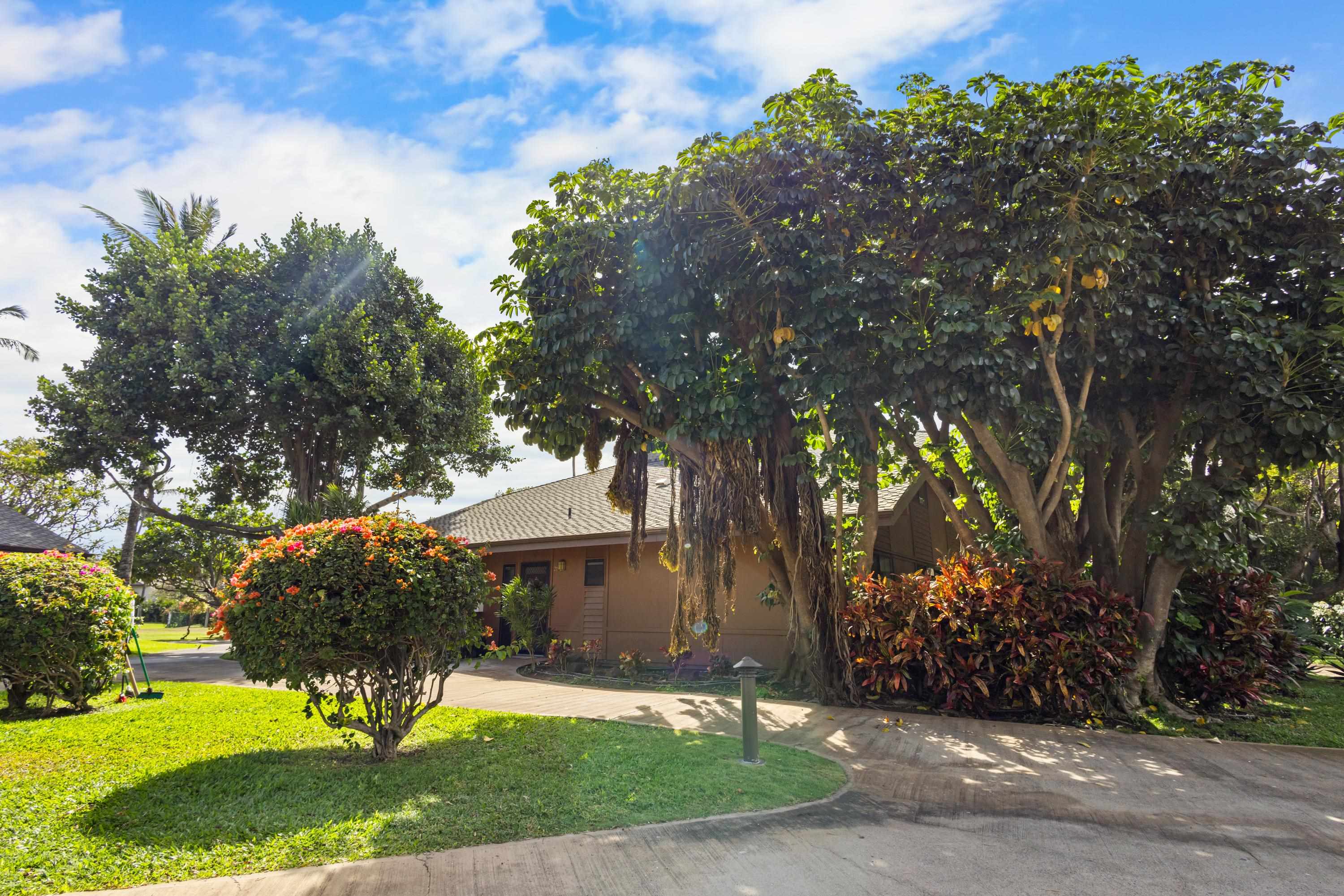 Koa Resort condo # 2F, Kihei, Hawaii - photo 12 of 50