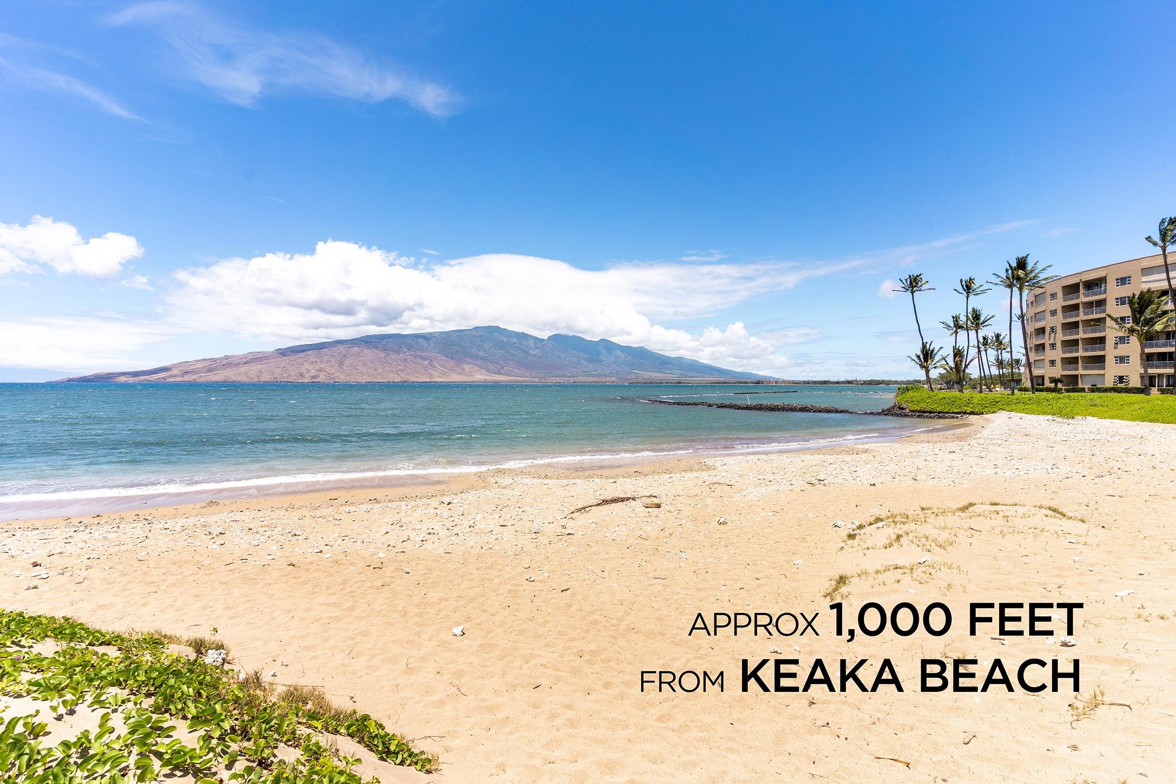 Koa Resort condo # 2H, Kihei, Hawaii - photo 11 of 47