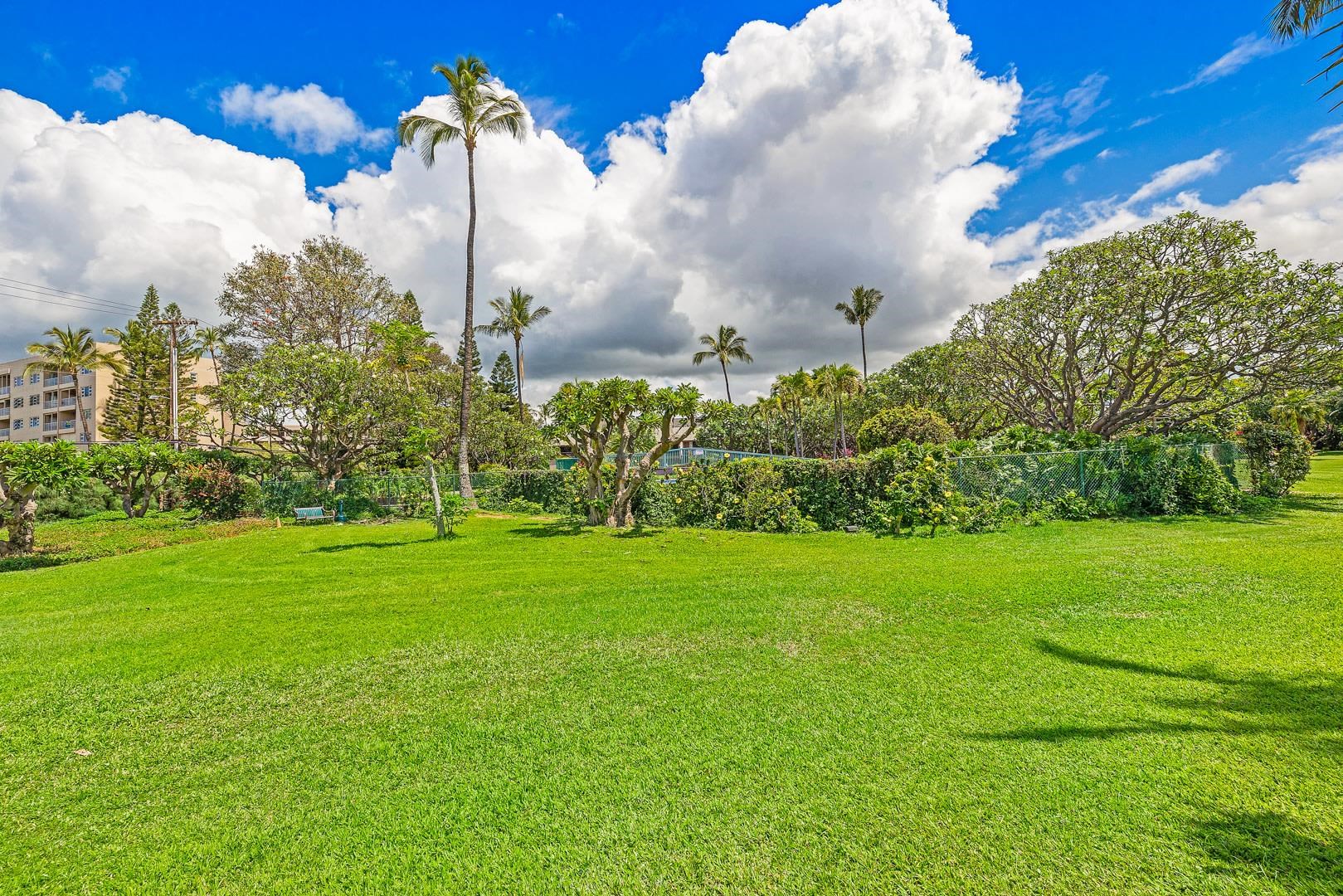 Koa Resort condo # 5D, Kihei, Hawaii - photo 10 of 26