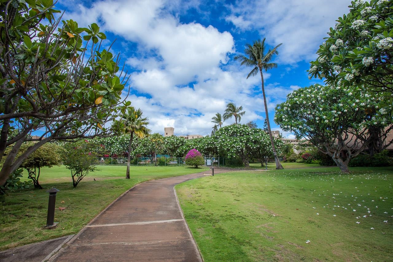 Koa Resort condo # Apt 5E, Kihei, Hawaii - photo 23 of 26