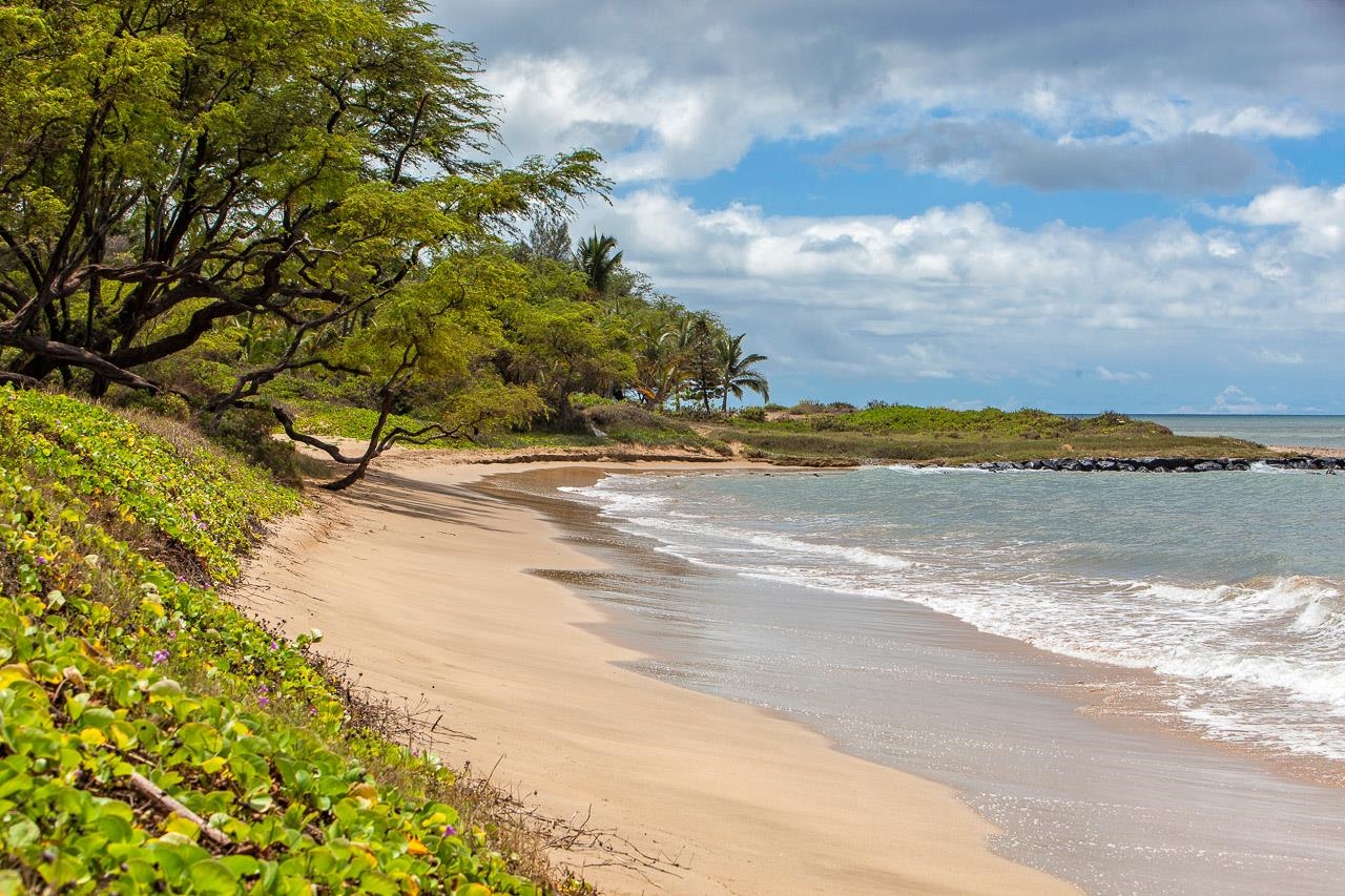 Koa Resort condo # Apt 5E, Kihei, Hawaii - photo 26 of 26