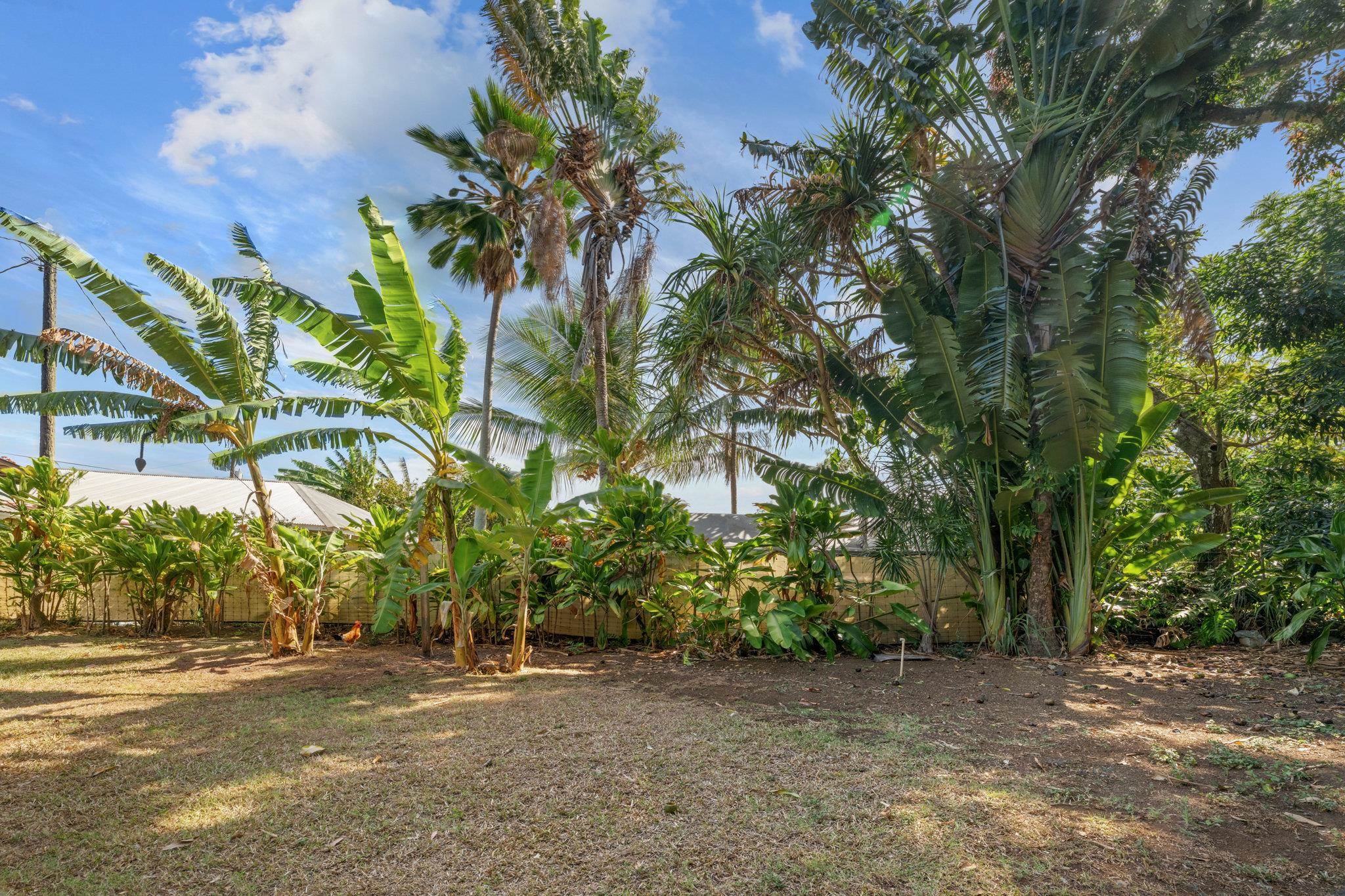 815  Kuulei St , Haiku home - photo 43 of 44