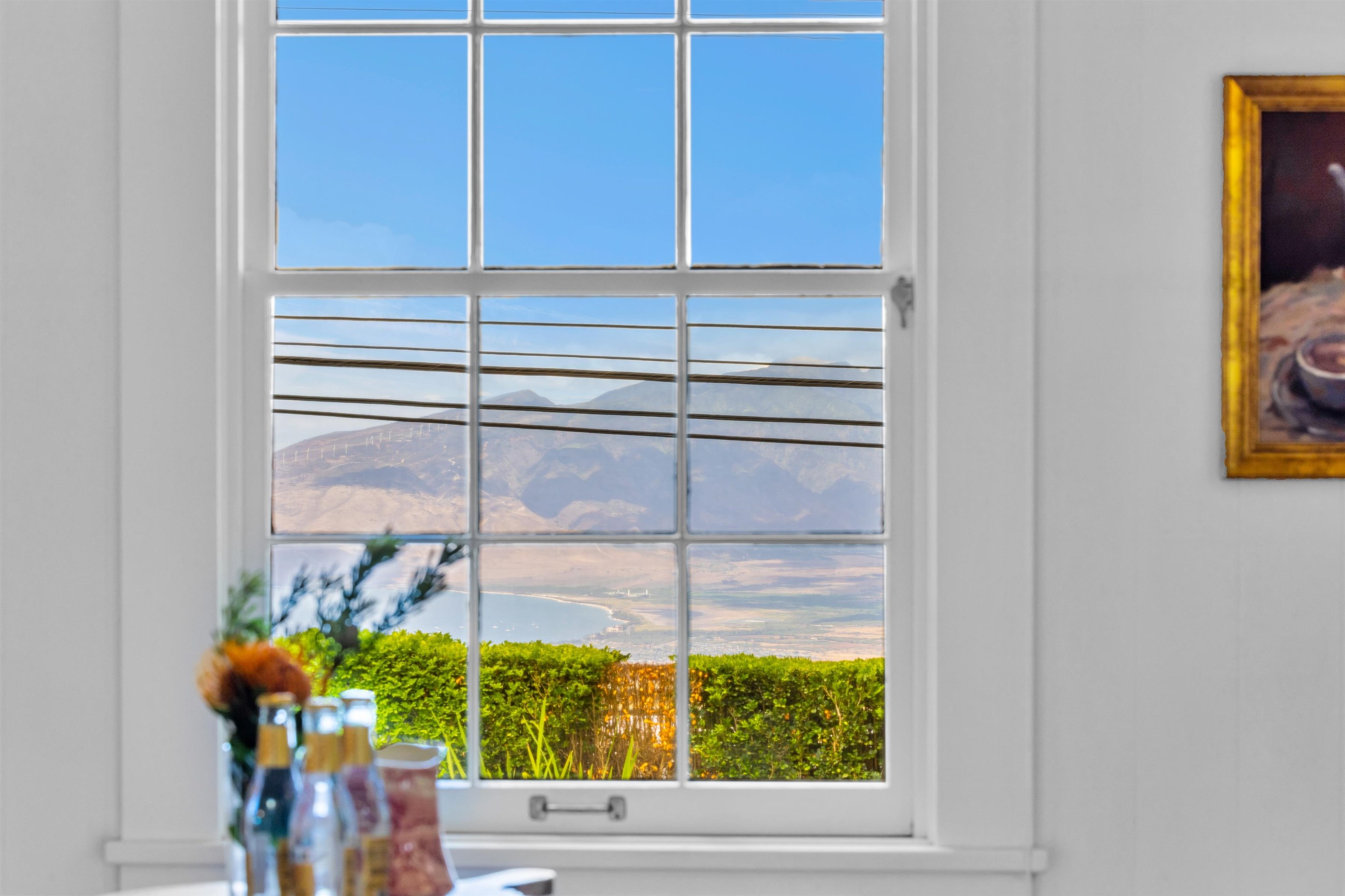 8197  Kula Hwy , Kula/Ulupalakua/Kanaio home - photo 13 of 50