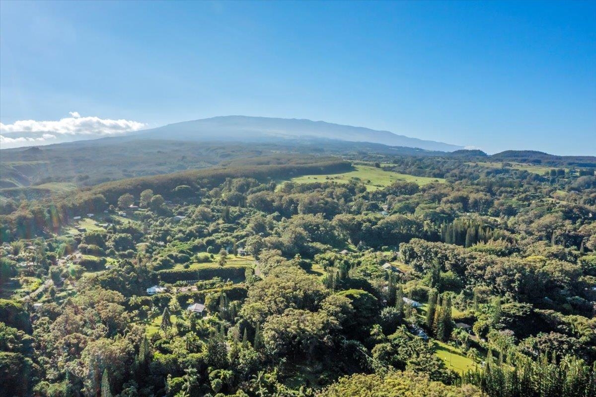 82  Mamao Pl 5 Corners, Haiku home - photo 2 of 20