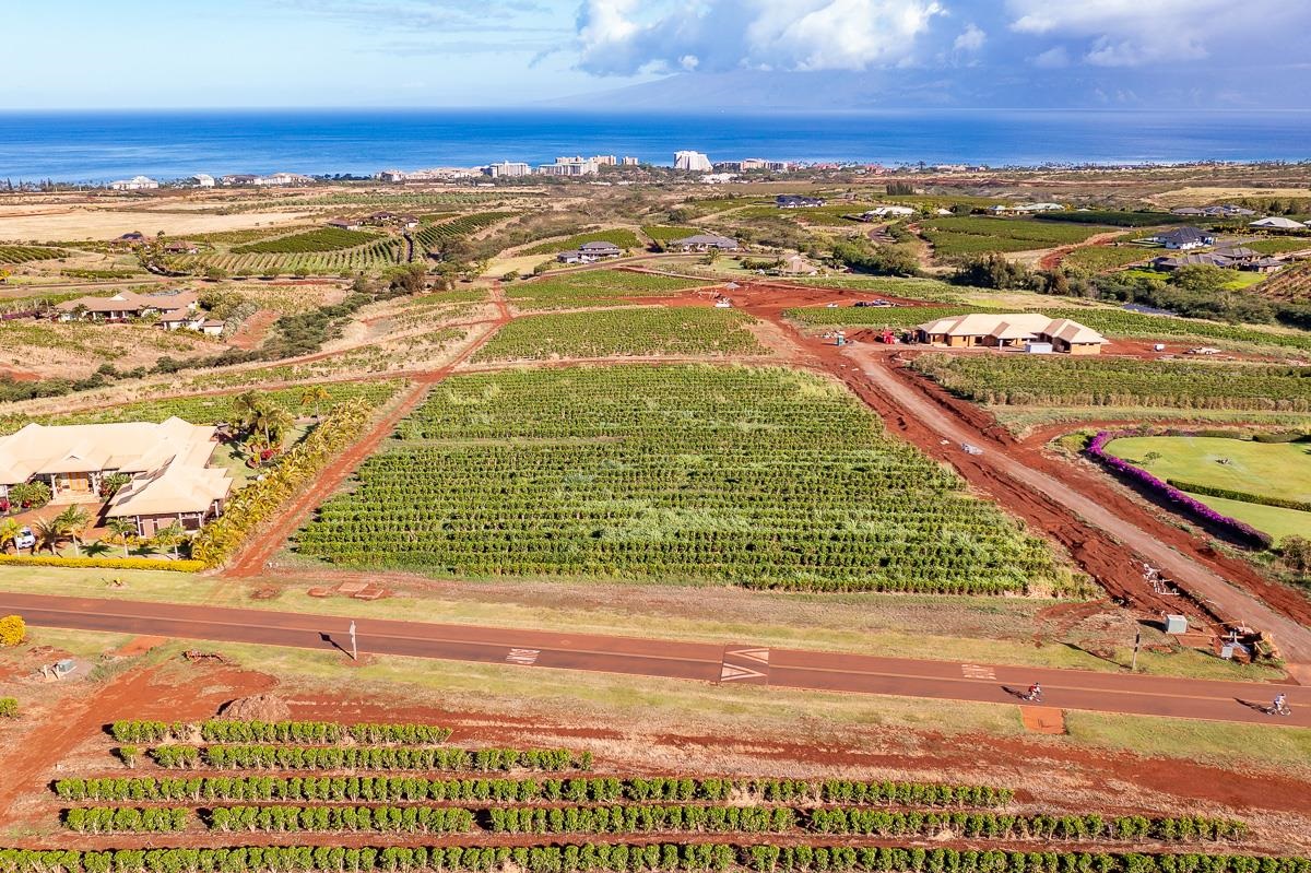 821 Aina Mahiai St Lot 23 Lahaina, Hi vacant land for sale - photo 4 of 11