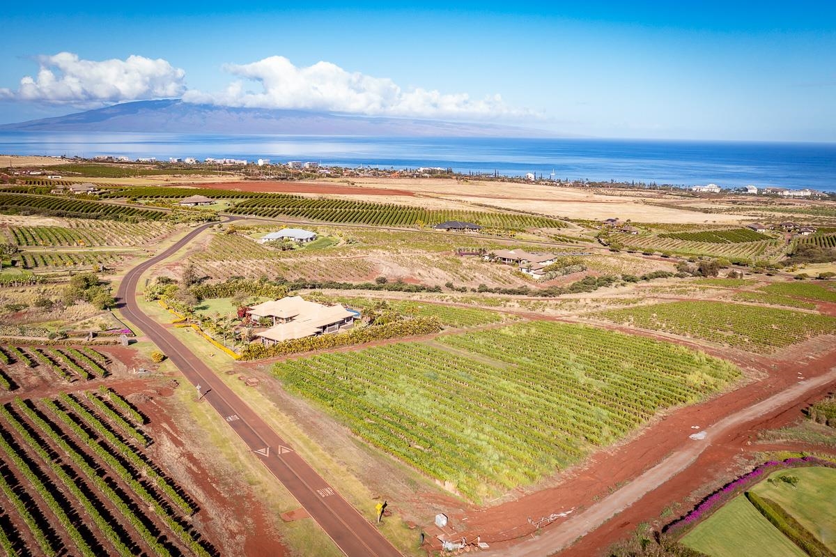 821 Aina Mahiai St Lot 23 Lahaina, Hi vacant land for sale - photo 5 of 11