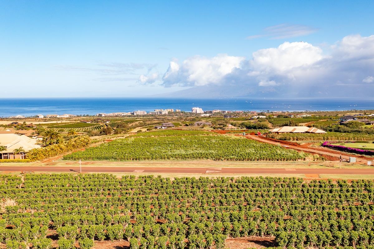 821 Aina Mahiai St Lot 23 Lahaina, Hi vacant land for sale - photo 6 of 11