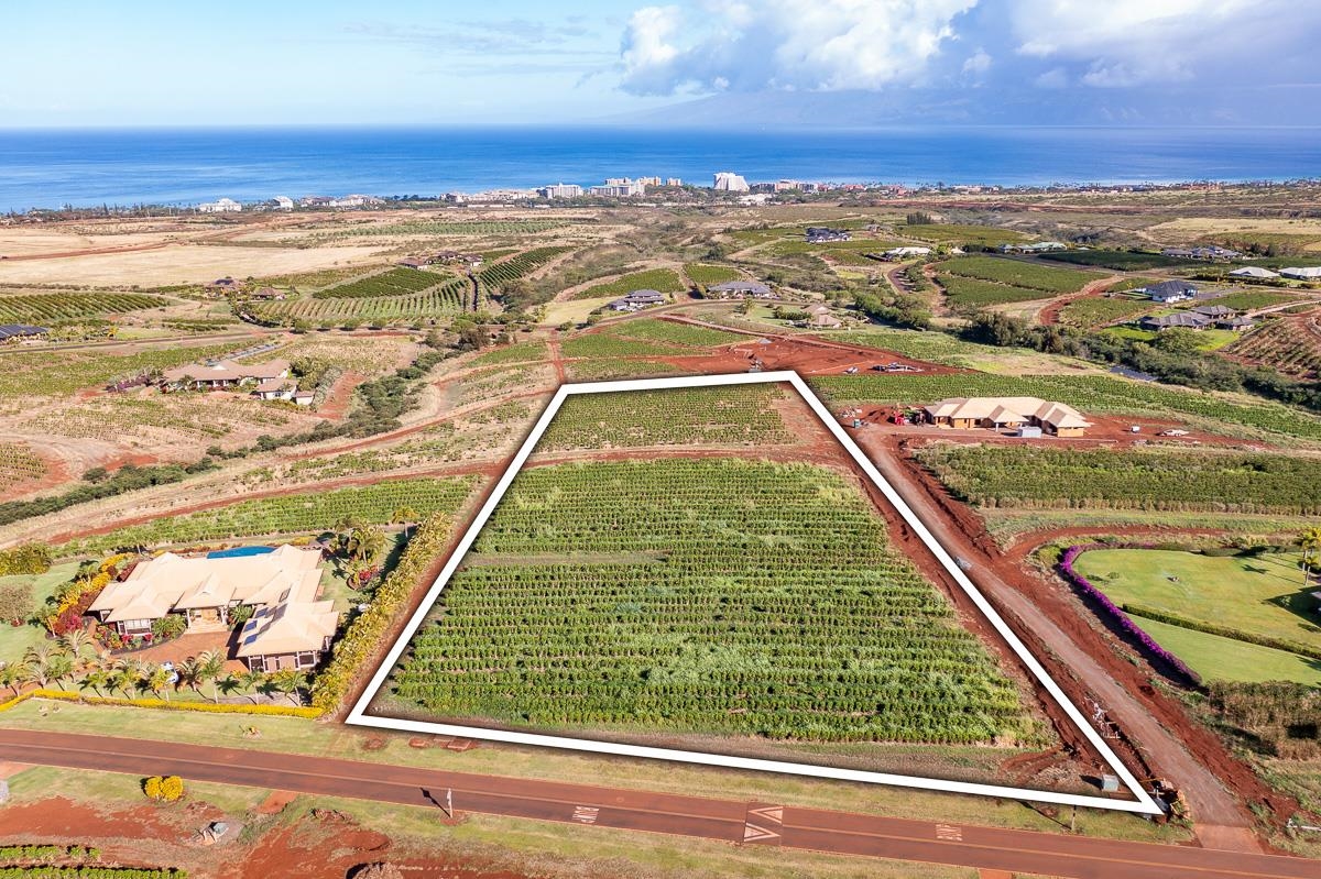 821 Aina Mahiai St Lot 23 Lahaina, Hi vacant land for sale - photo 8 of 11