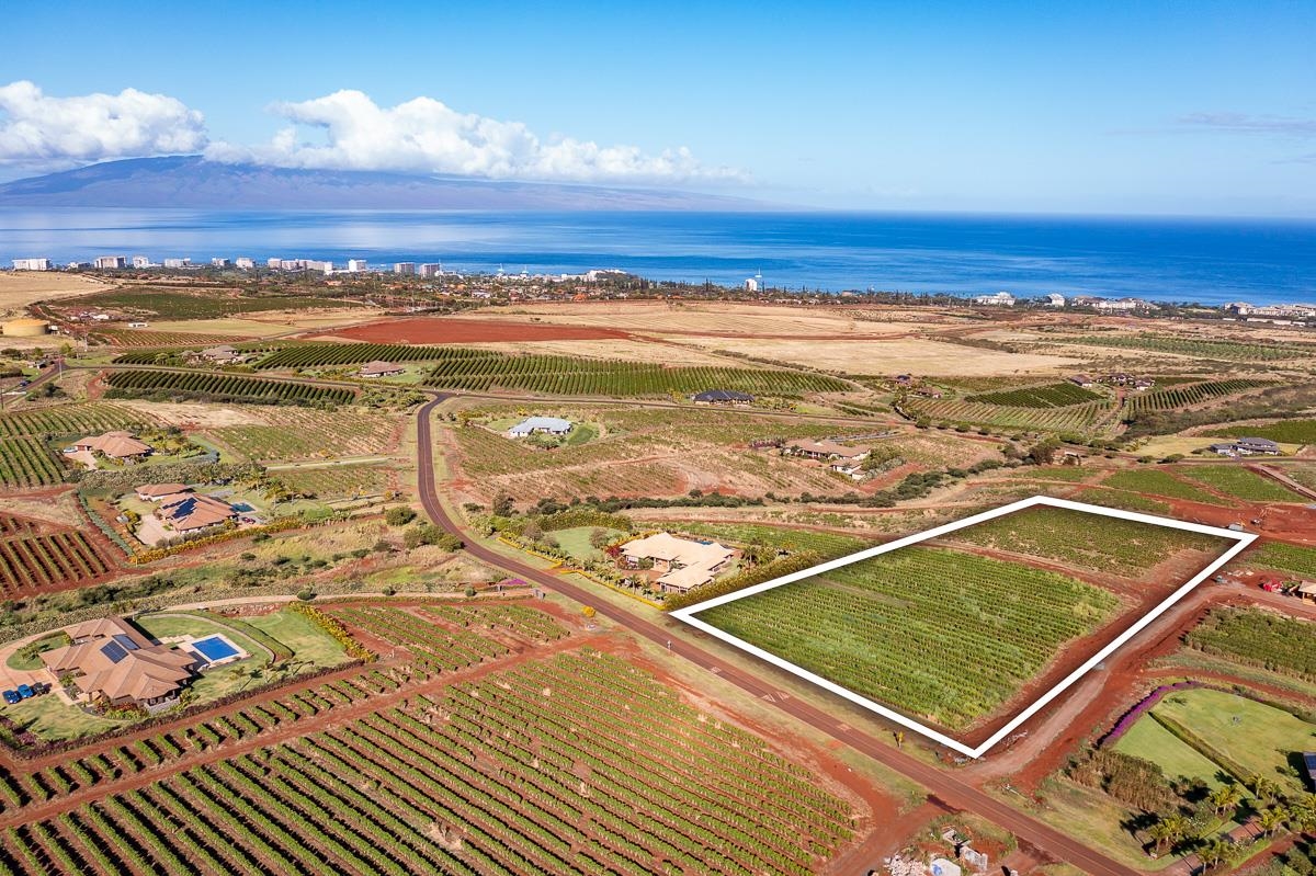 821 Aina Mahiai St Lot 23 Lahaina, Hi vacant land for sale - photo 10 of 11