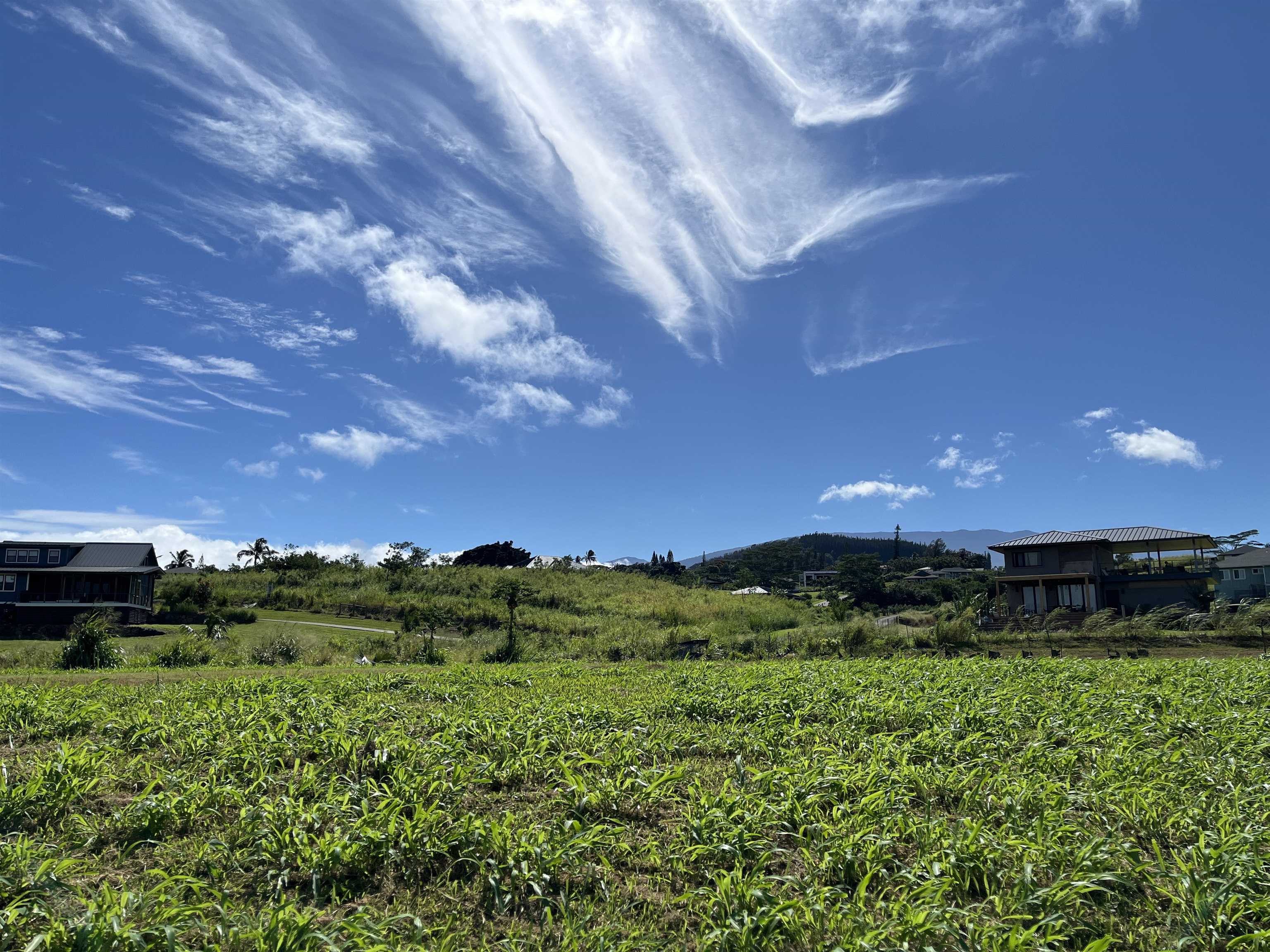 821 Auwaha St Unit A Haiku, Hi vacant land for sale - photo 3 of 7