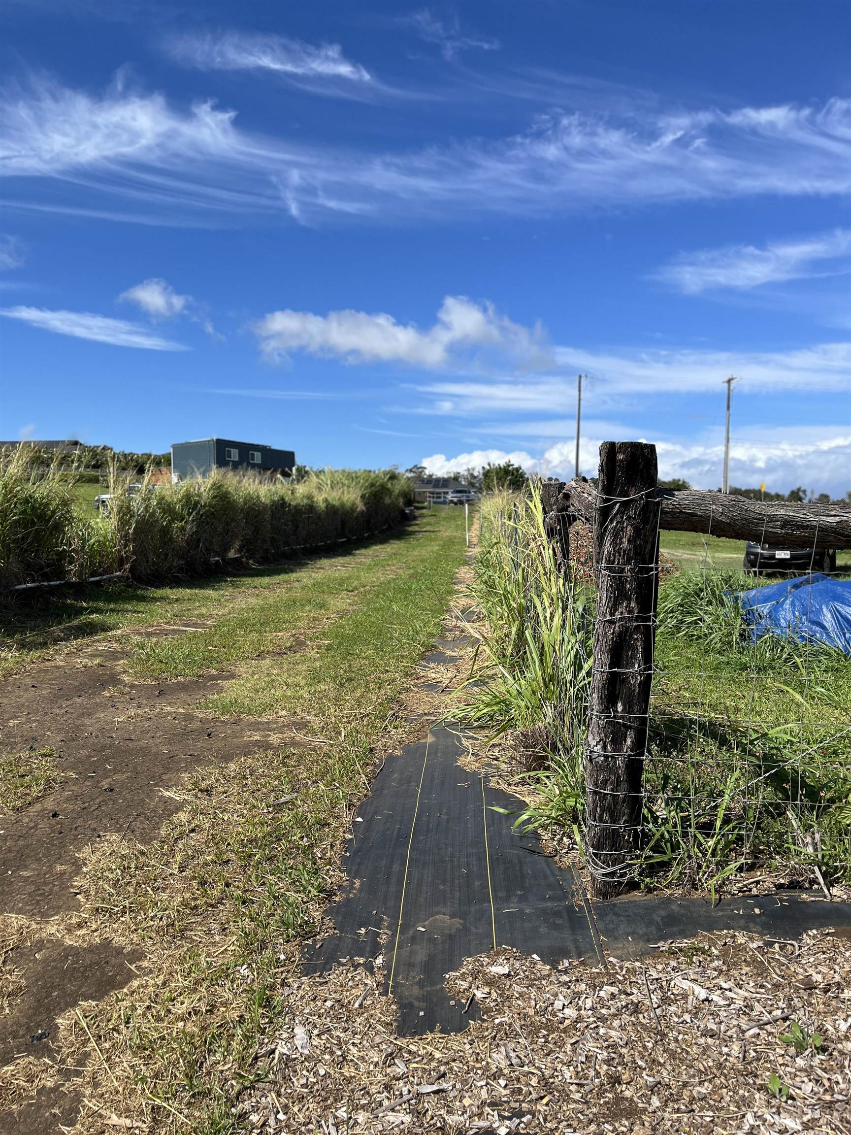 821 Auwaha St Unit A Haiku, Hi vacant land for sale - photo 6 of 7