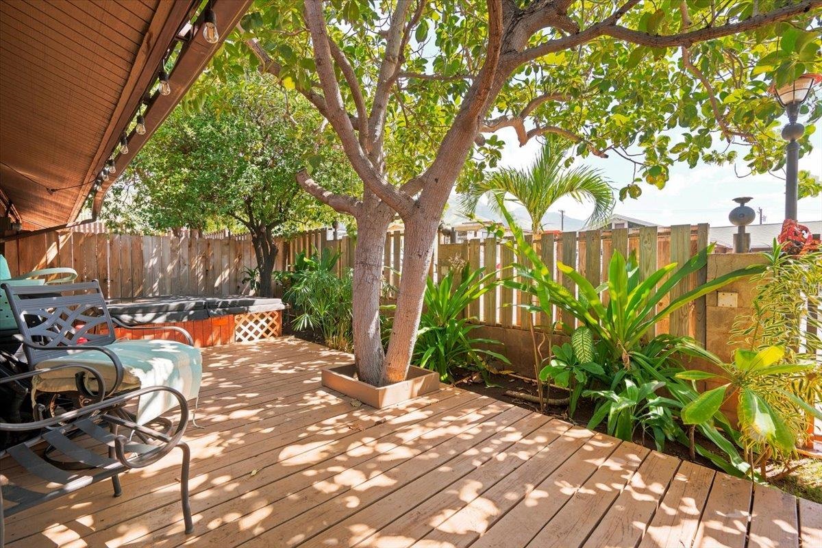 824  Hopoe St Lahainaluna, Lahaina home - photo 22 of 46