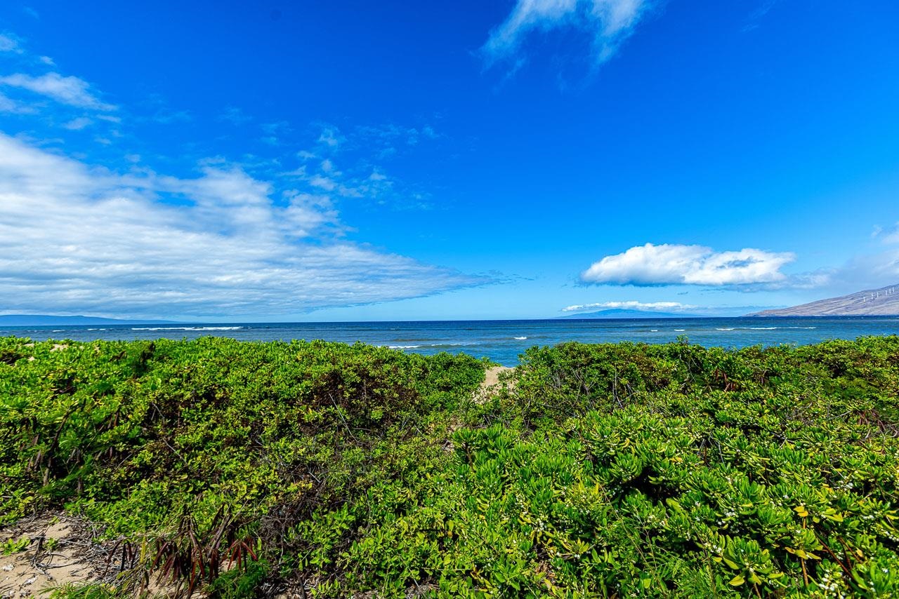 83 Kapu Pl 83 Kapu Pl Kihei, Hi vacant land for sale - photo 31 of 39