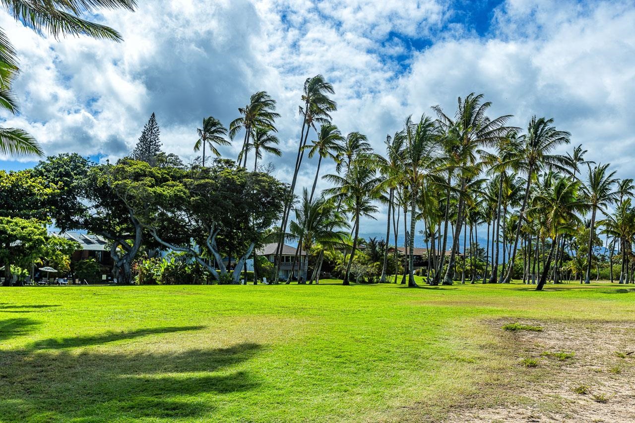 83 Kapu Pl 83 Kapu Pl Kihei, Hi vacant land for sale - photo 39 of 39