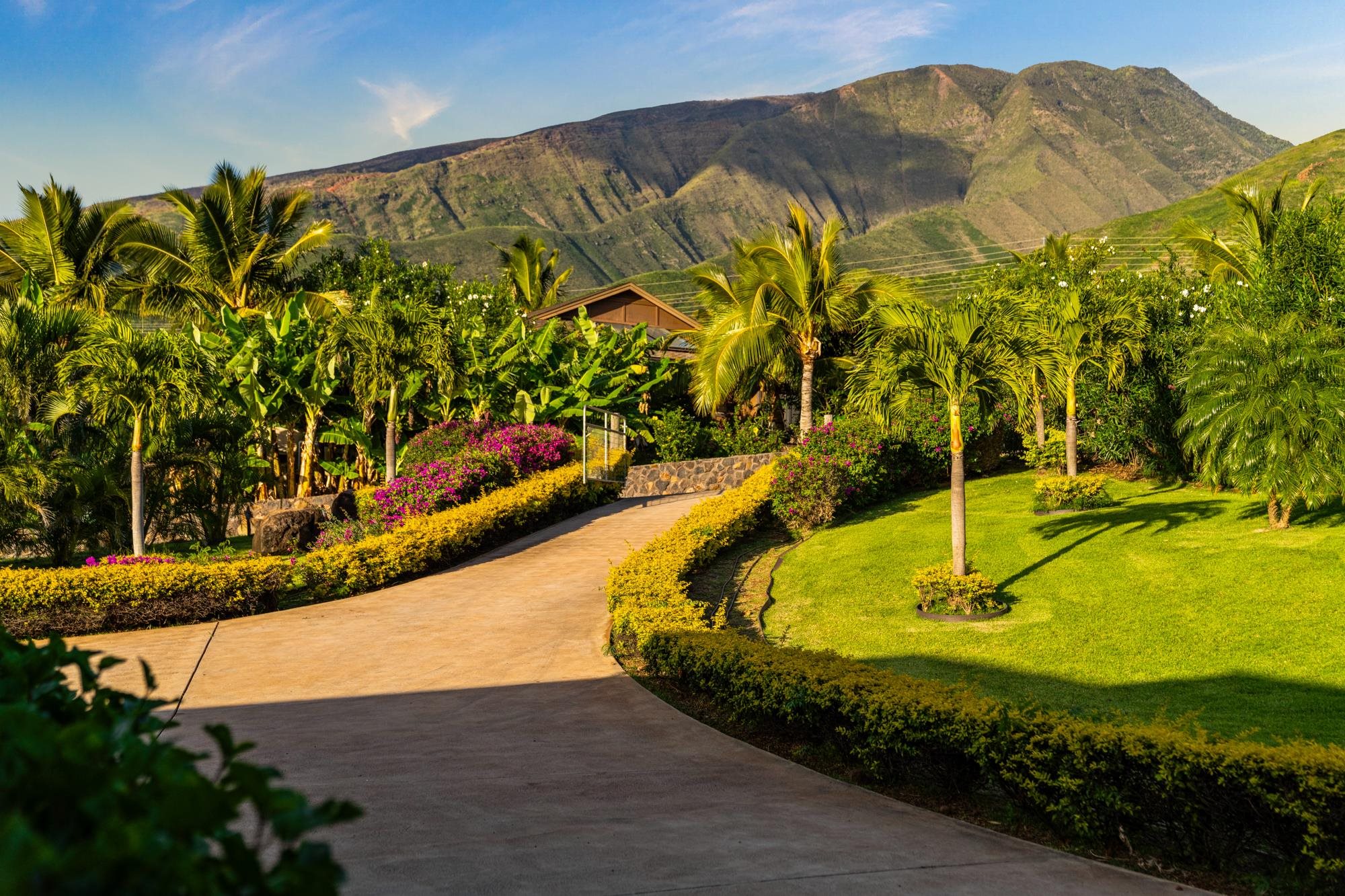 83  Lau Niu Way , Lahaina home - photo 40 of 50