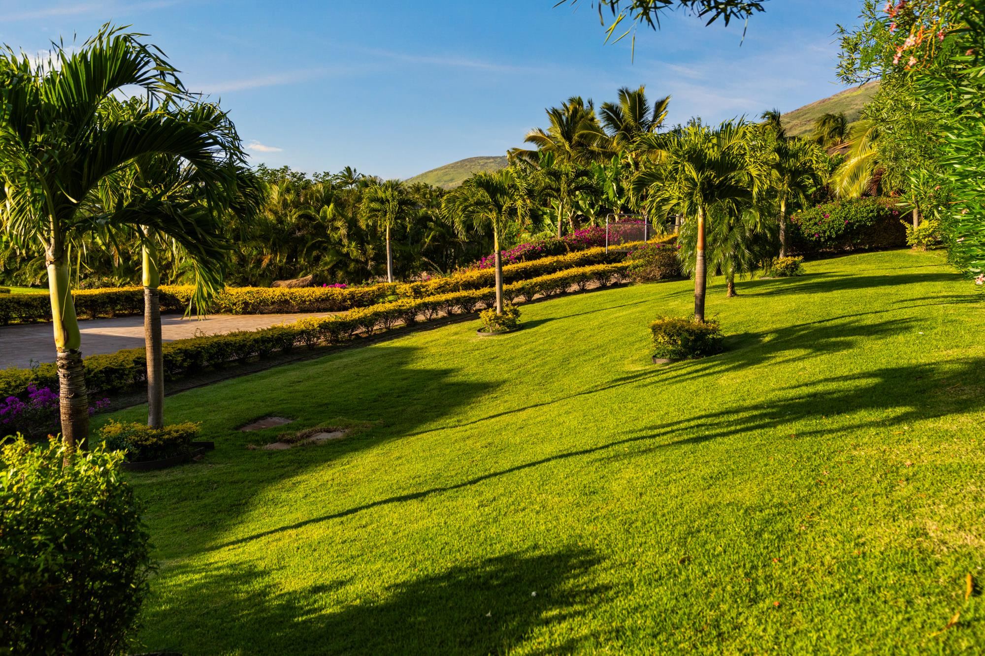 83  Lau Niu Way , Lahaina home - photo 42 of 50