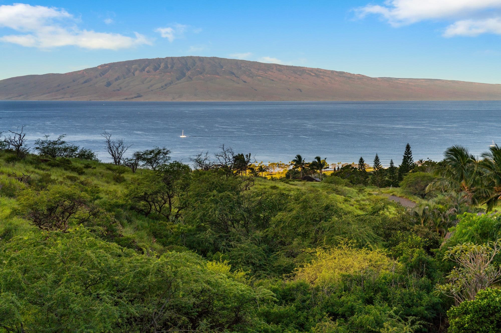 83  Lau Niu Way , Lahaina home - photo 47 of 50