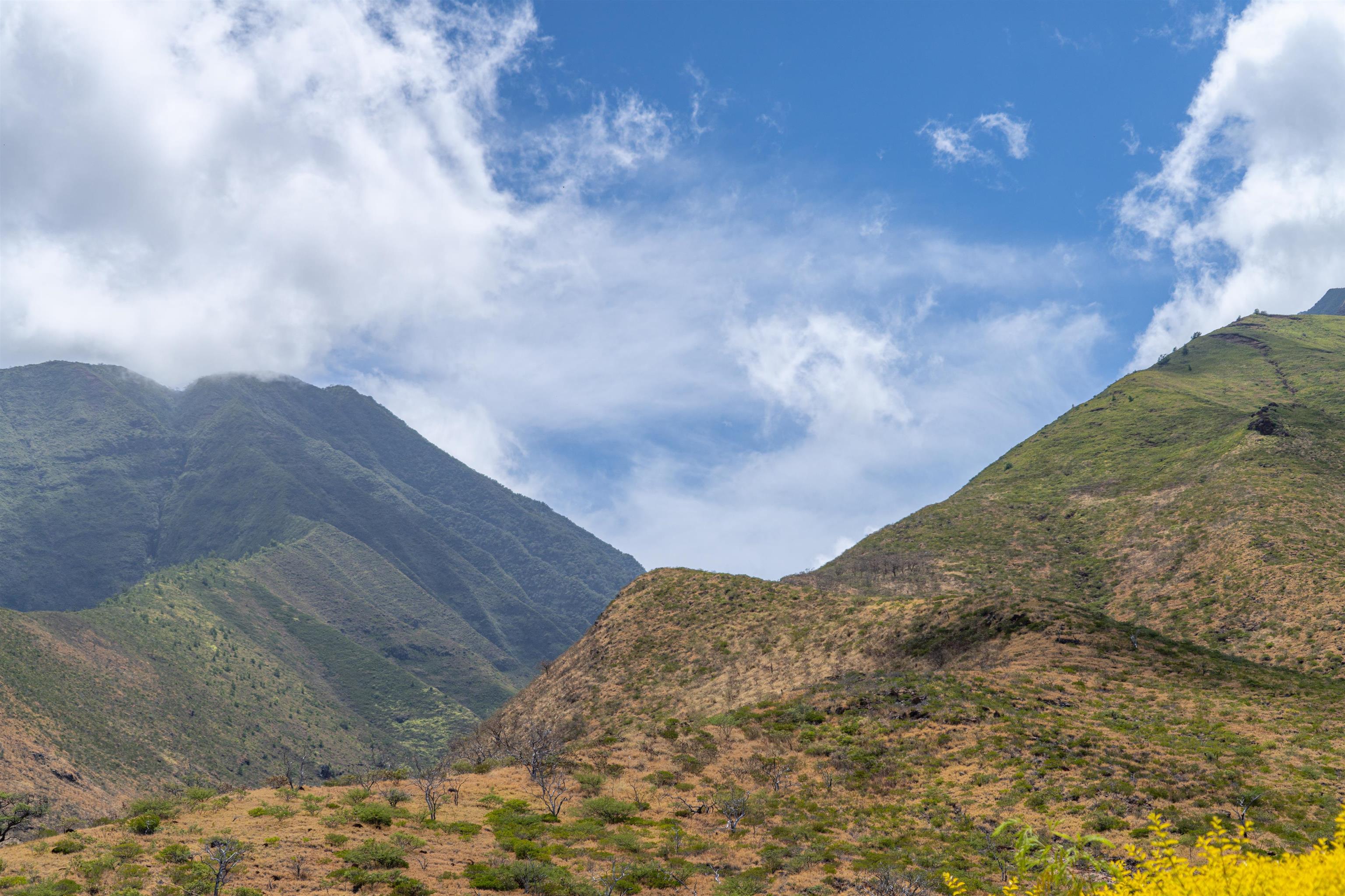 83  Wailau Pl Launiupoko, Lahaina home - photo 44 of 50