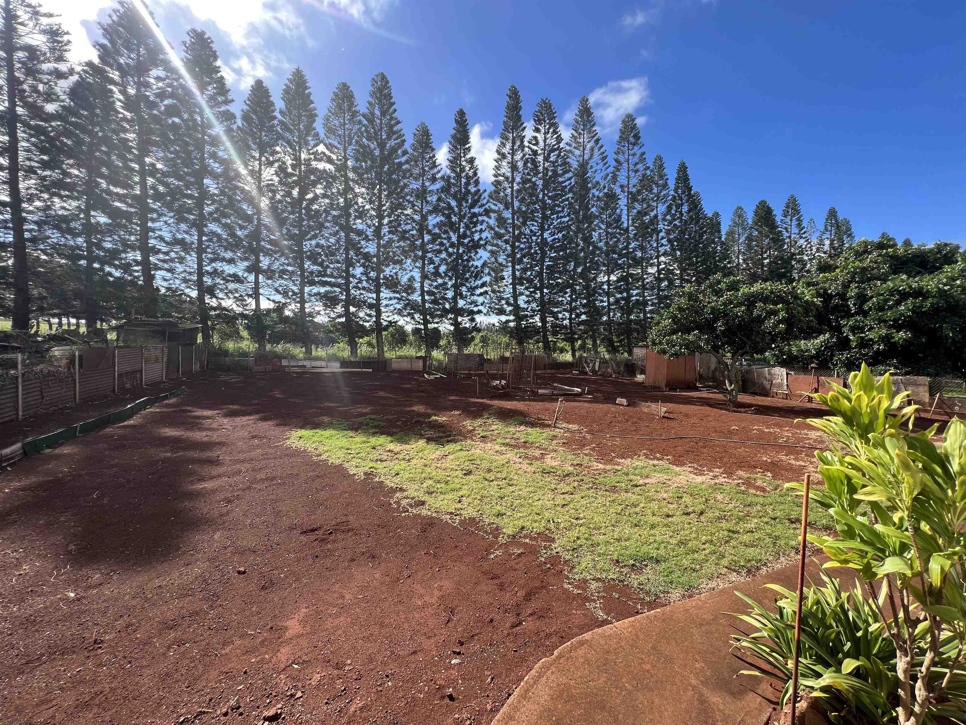 830  Leomele St , Molokai home - photo 26 of 29