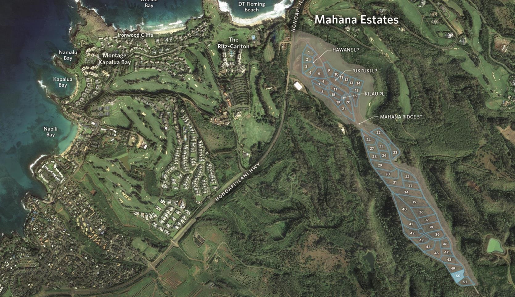 830 Mahana Ridge Pl 50 Lahaina, Hi vacant land for sale - photo 4 of 28